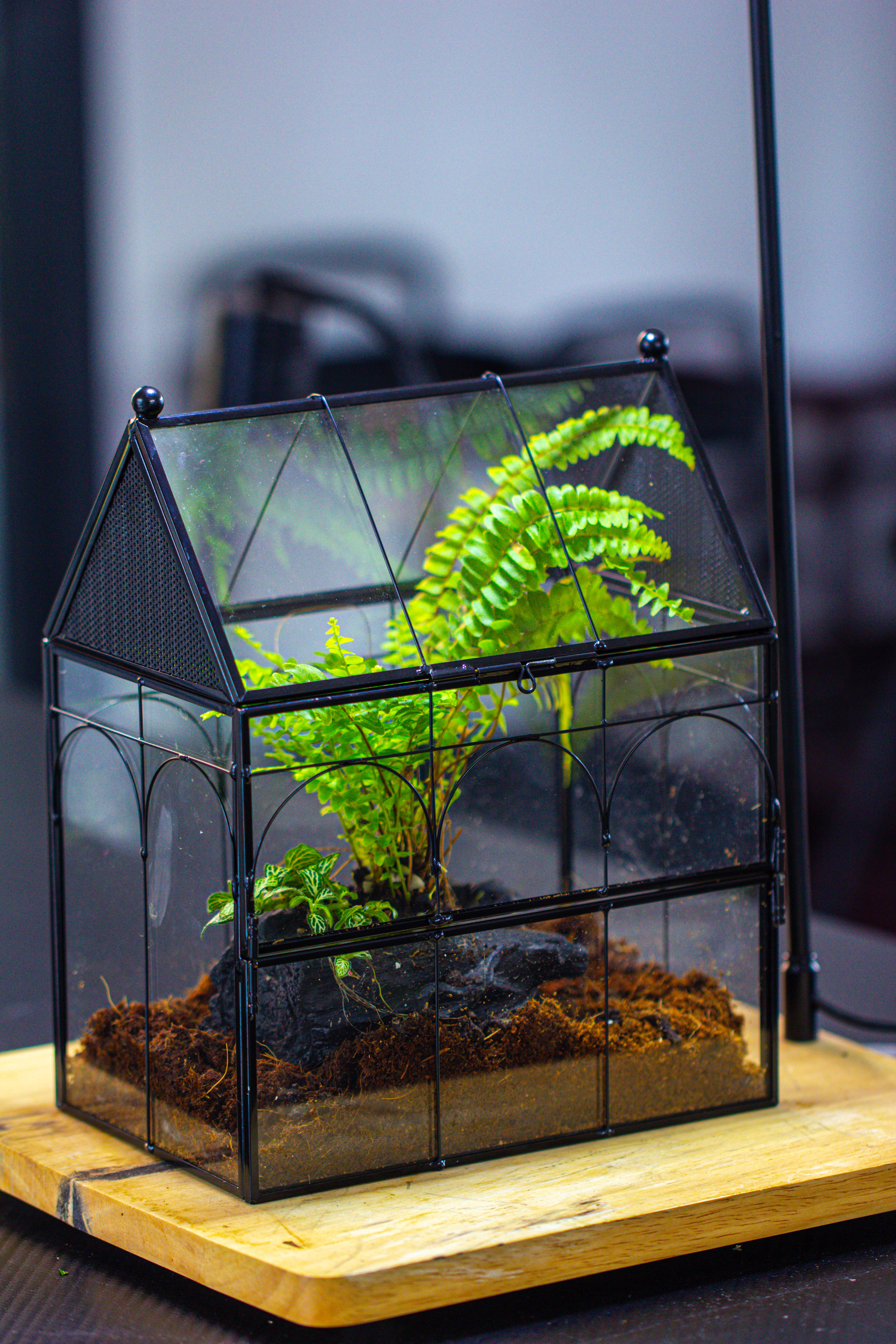 Handmade Terrarium with Light, House Shape Glass Geometric Terrarium with LED Light Set - NCYPgarden