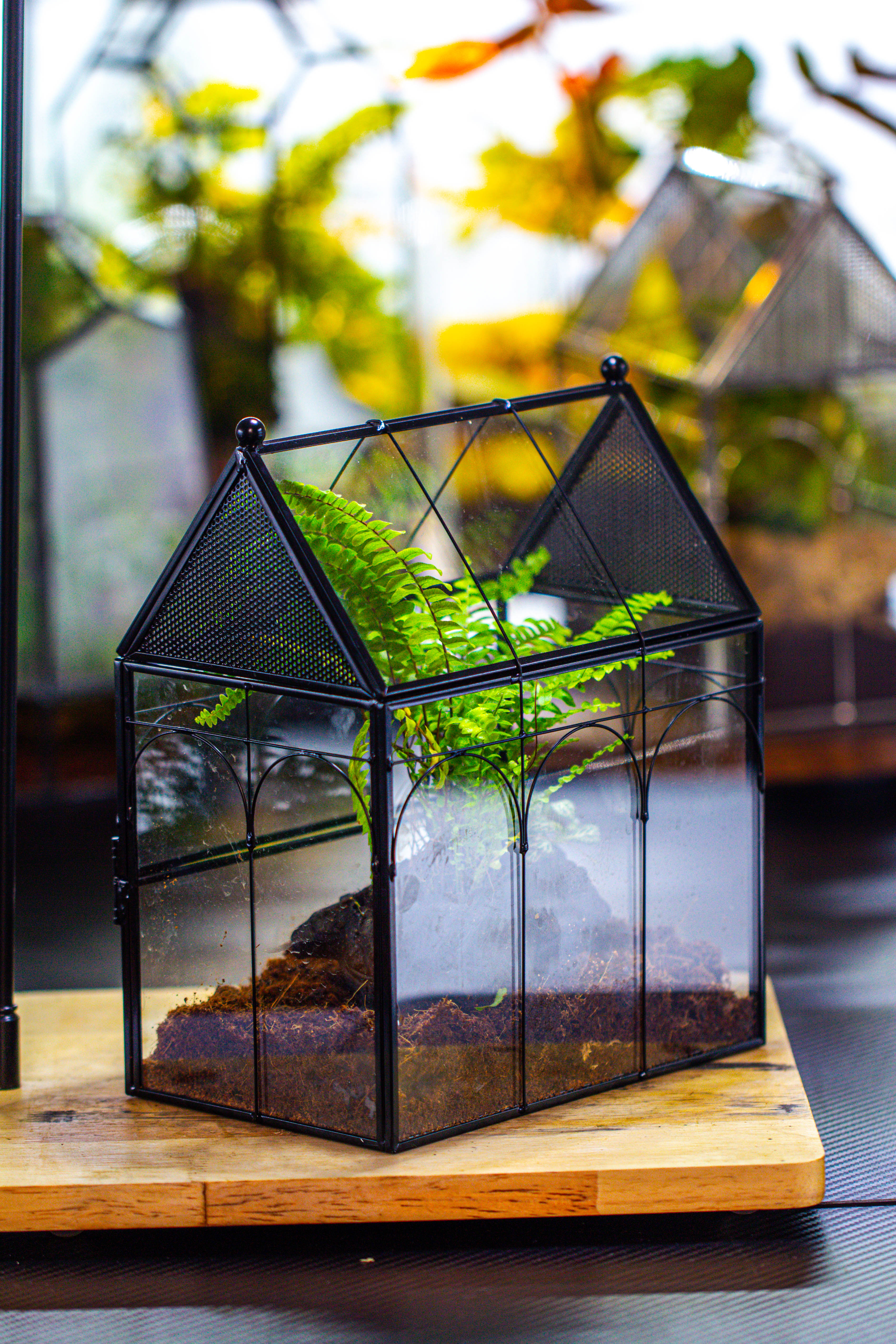 NCYP Vintage House Shape Glass Geometric Terrarium, with side door, with Mesh / vent holes for small Insects Pet building set - NCYPgarden