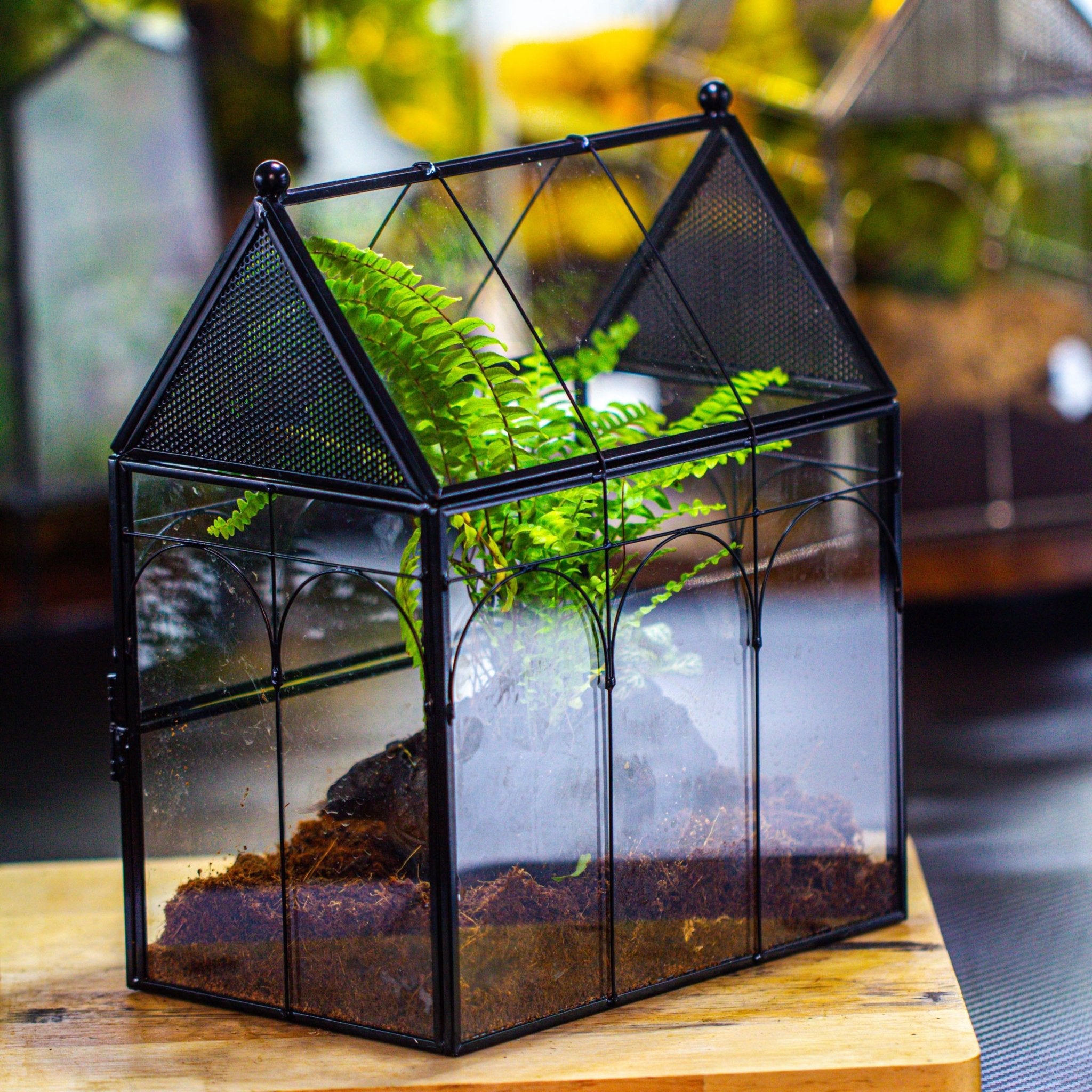 NCYP Vintage House Shape Glass Geometric Terrarium building set, with side door, with Mesh / vent holes for Insects Pet - NCYPgarden