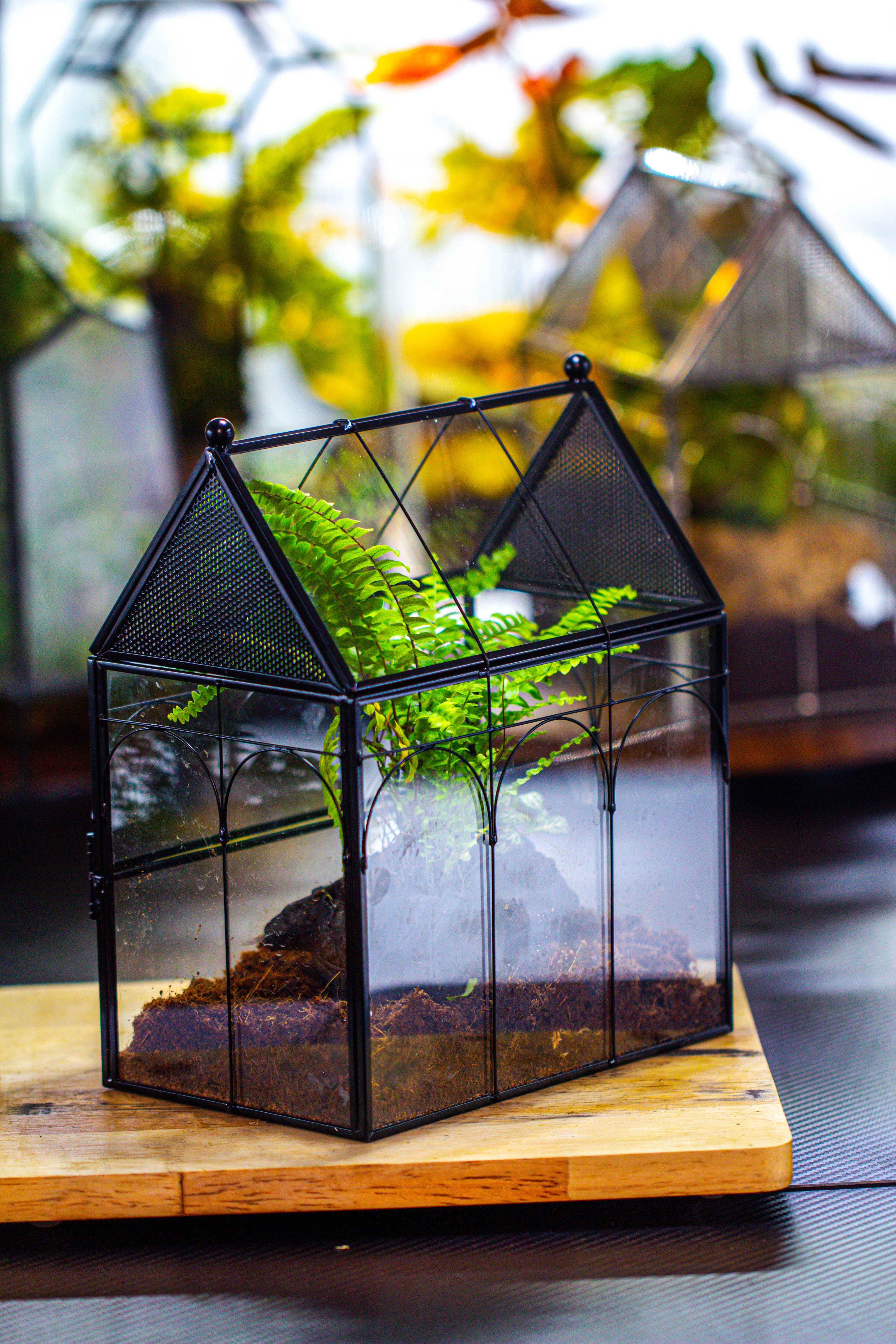 NCYP Vintage House Shape Glass Geometric Terrarium, with side door, with Mesh / vent holes for small Insects Pet - NCYPgarden
