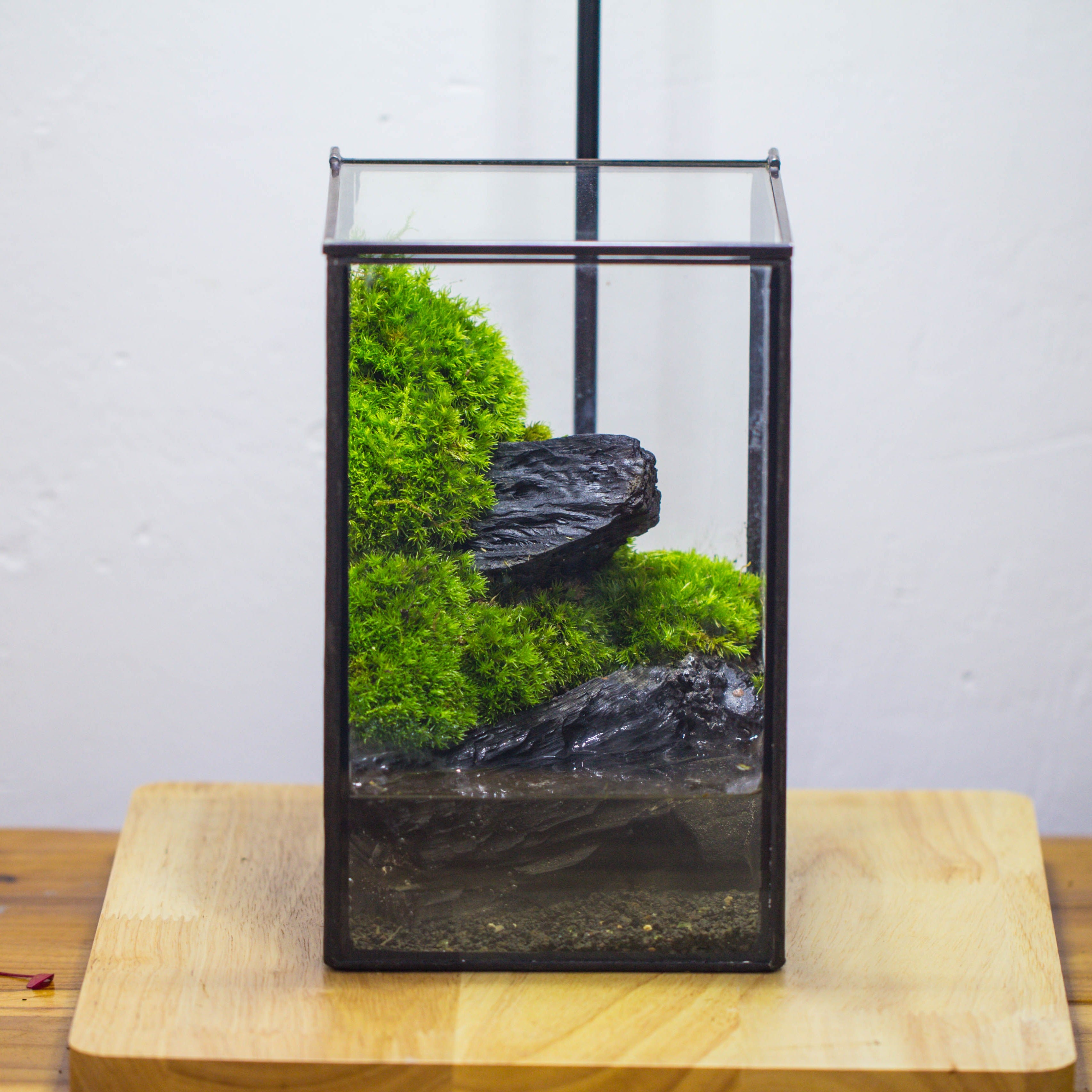 NCYP Watertight Close Geometric Glass Tin Terrarium, for small waterpond, moss landscape, Live Miniature, water pond, miniature - NCYPgarden