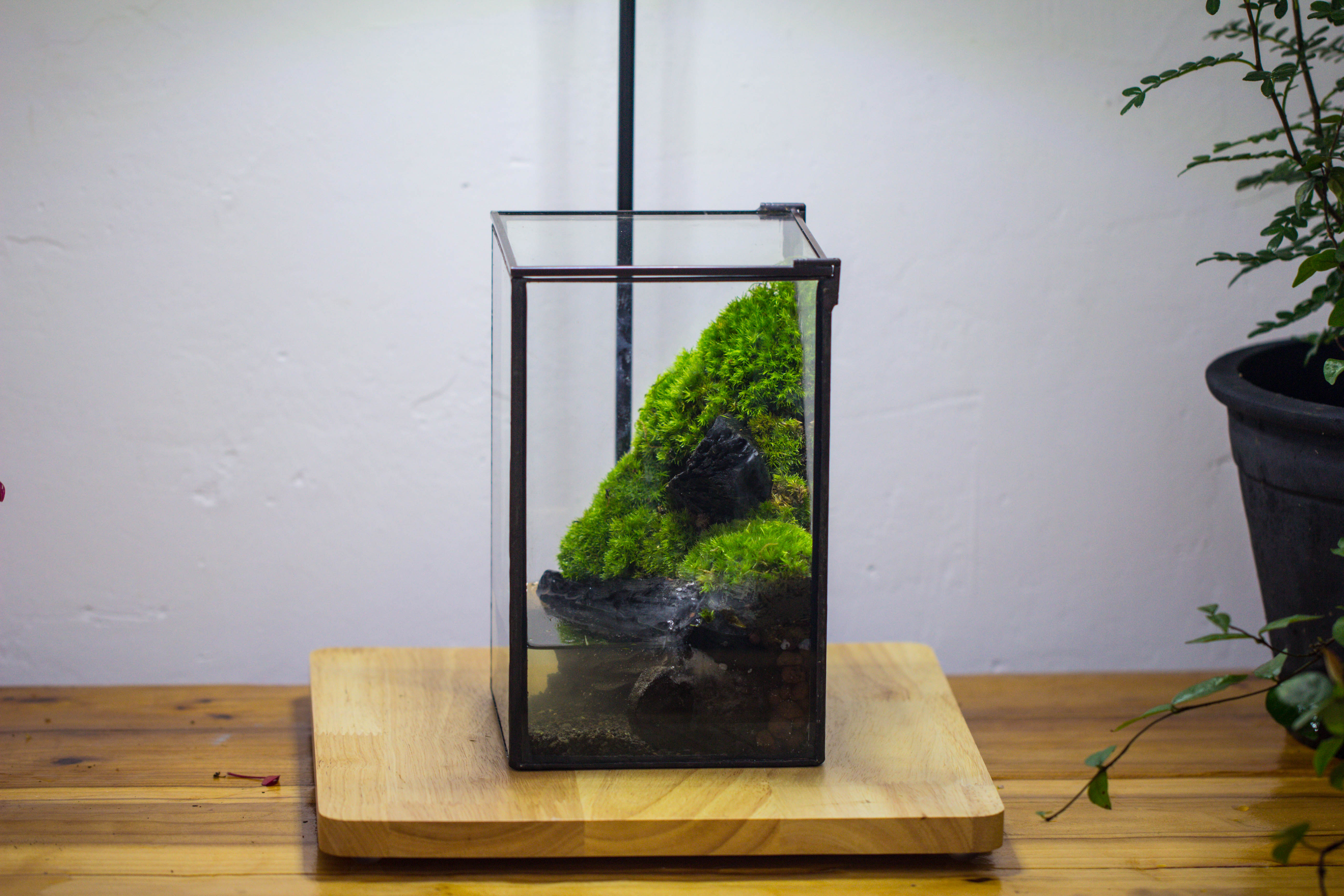 NCYP Watertight Close Geometric Glass Tin Terrarium, for small waterpond, moss landscape, Live Miniature, water pond, miniature - NCYPgarden