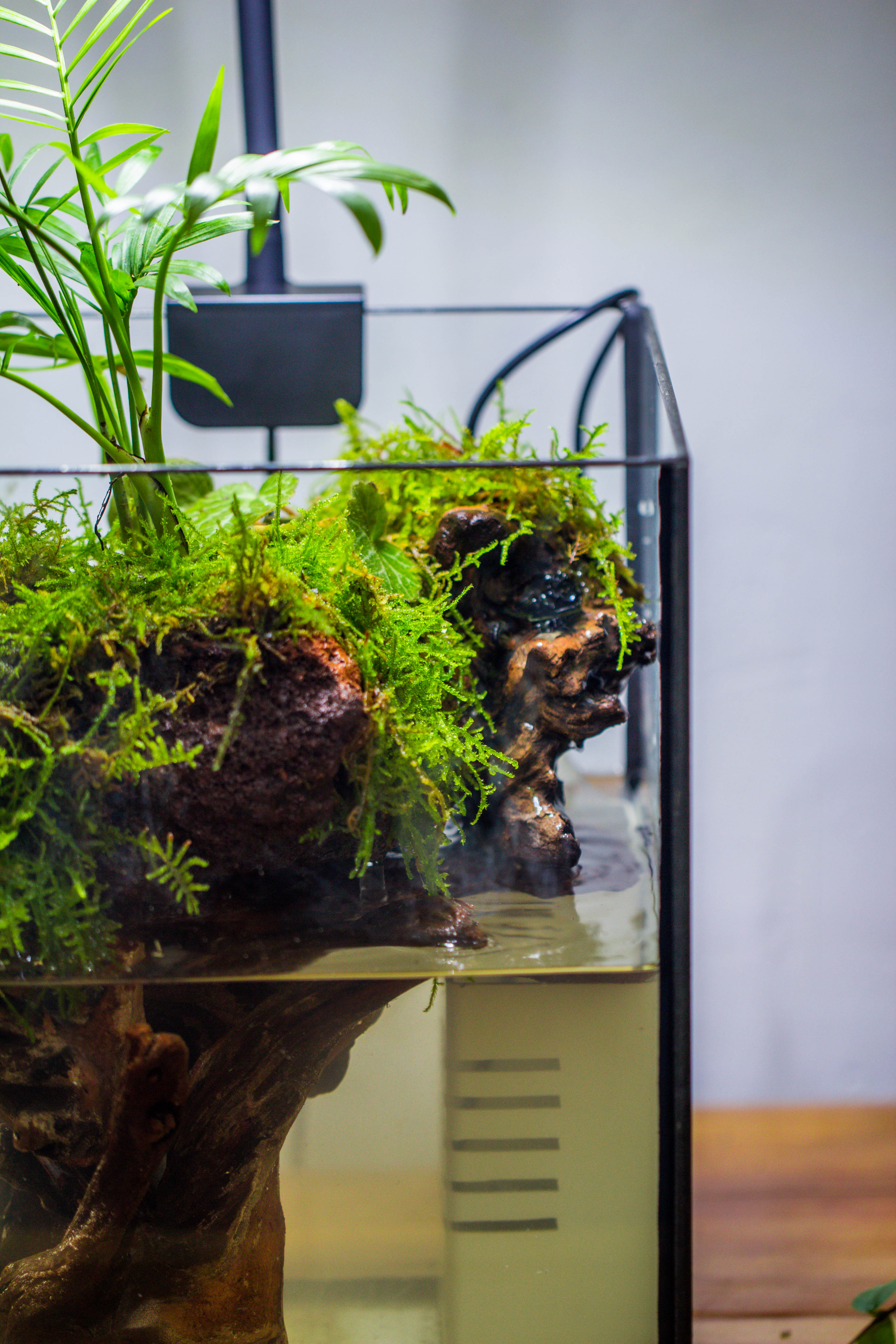 NCYP Watertight Open Geometric Glass Tin Terrarium, for small waterpond, Bog, moss landscape, Water pond, Carnivorous Plants - NCYPgarden