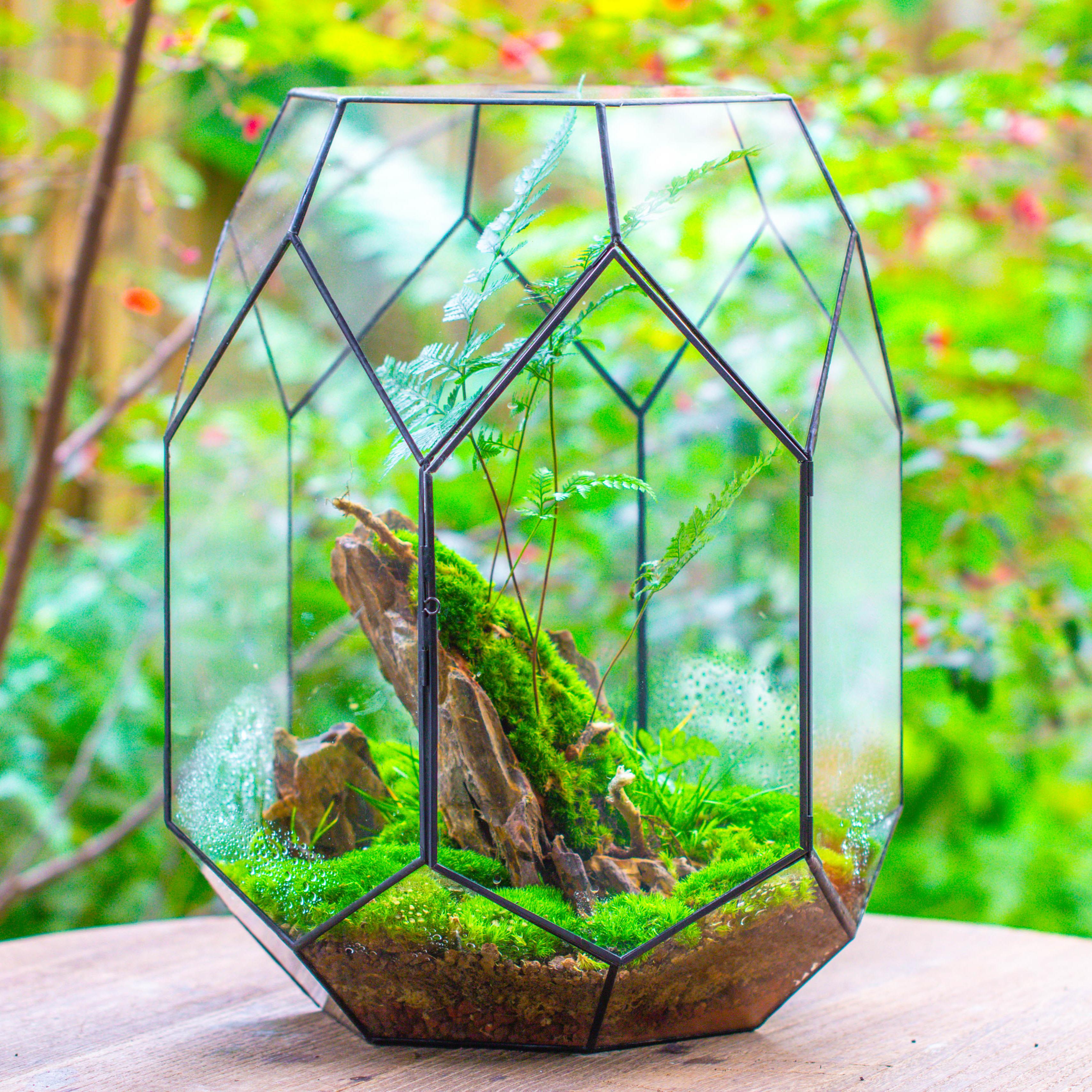 16.2" tall, 13" wide Super Large Flat Top with Vent Hole Close Geometric Glass Terrarium