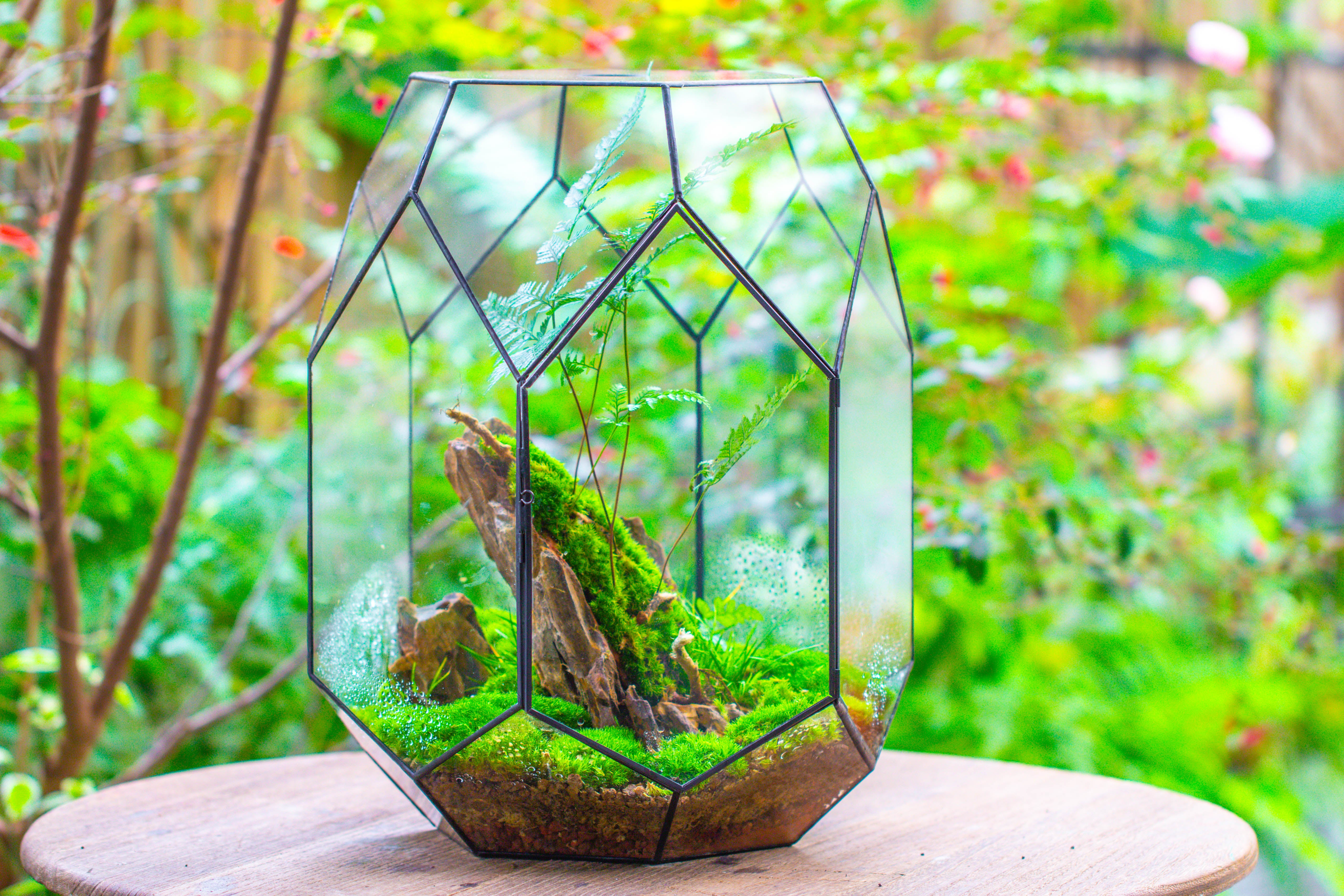 16.2" tall, 13" wide Super Large Flat Top with Vent Hole Close Geometric Glass Terrarium - NCYPgarden
