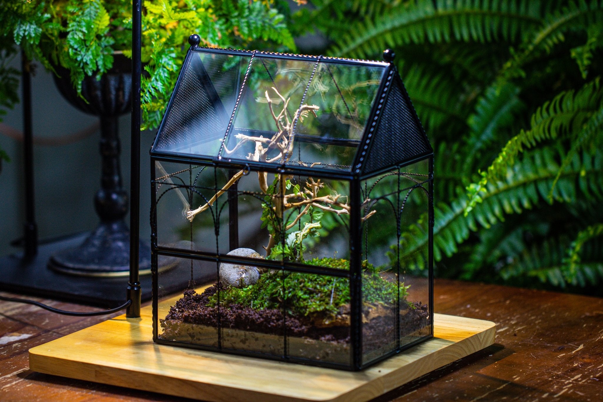 NCYP Vintage House Shape Glass Geometric Terrarium, with side door, with Mesh vent holes for small Insects Pet - NCYPgarden