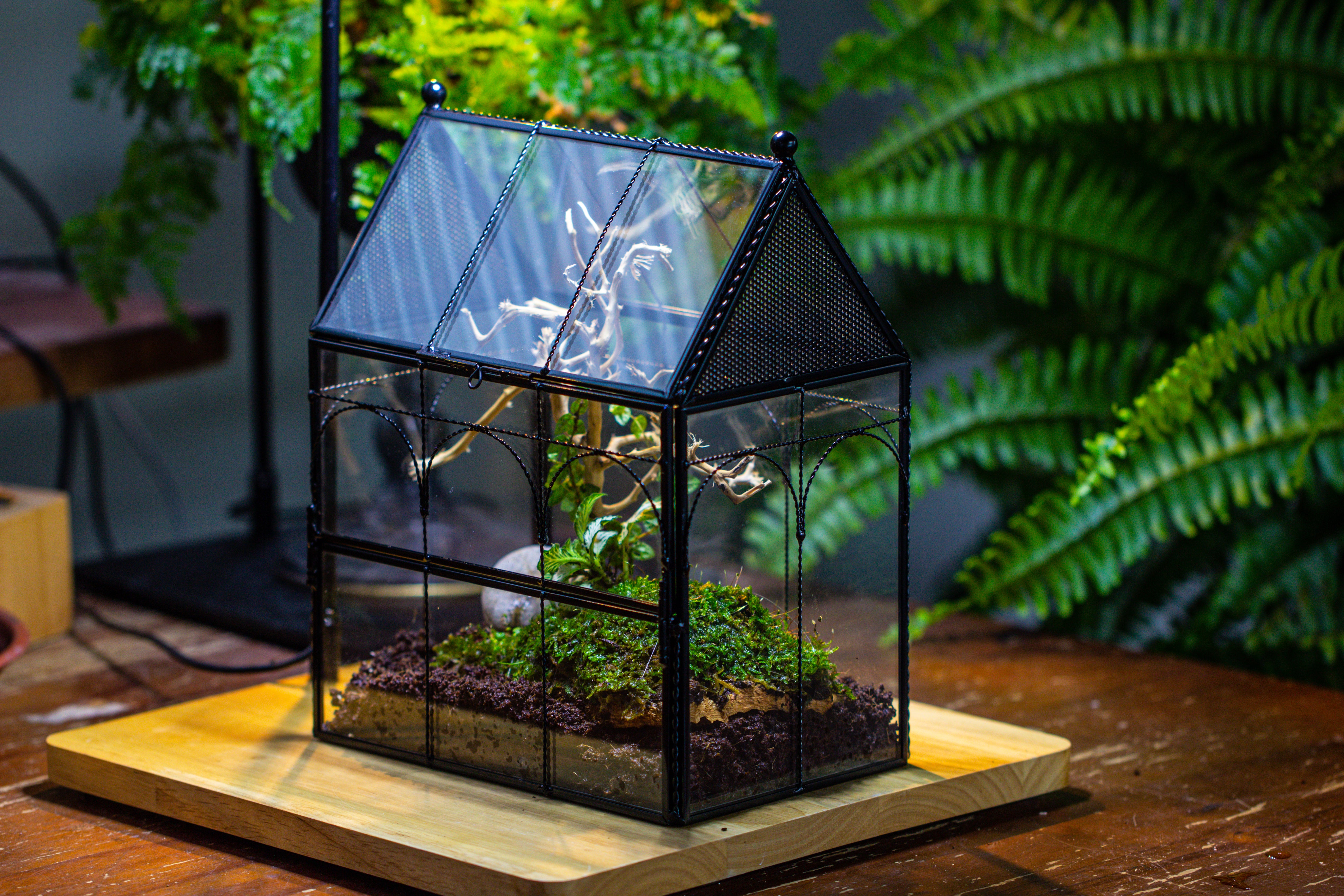 Handmade Twisted Wire House Shape Glass Geometric Terrarium with LED Light Set, Snail Jumping Spider Enclosure, Insect Container Set - NCYPgarden