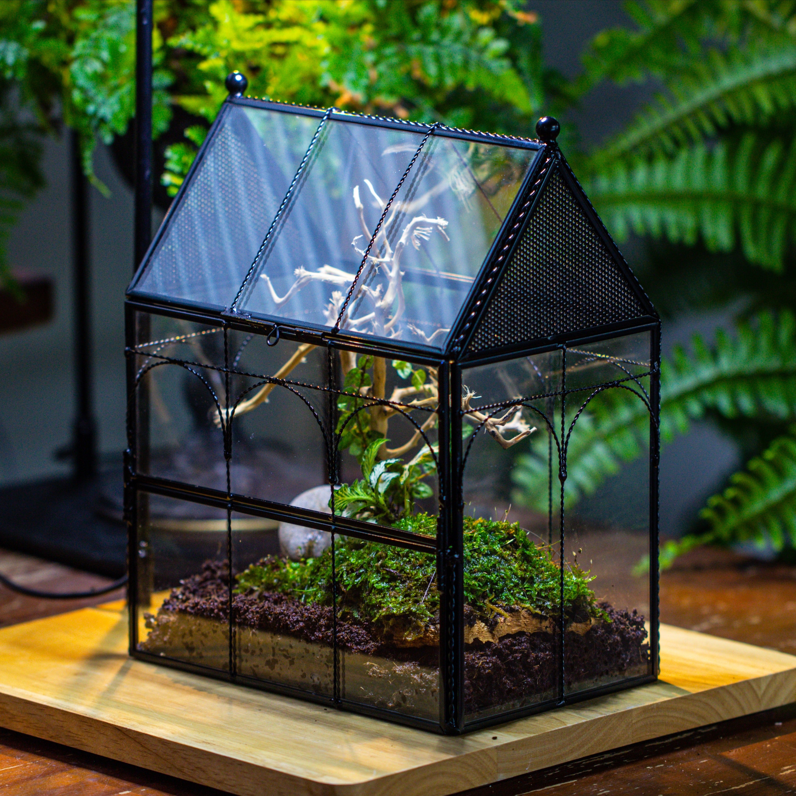 Handmade Twisted Wire House Shape Glass Geometric Terrarium with LED Light Set, Snail Jumping Spider Enclosure, Insect Container Set - NCYPgarden