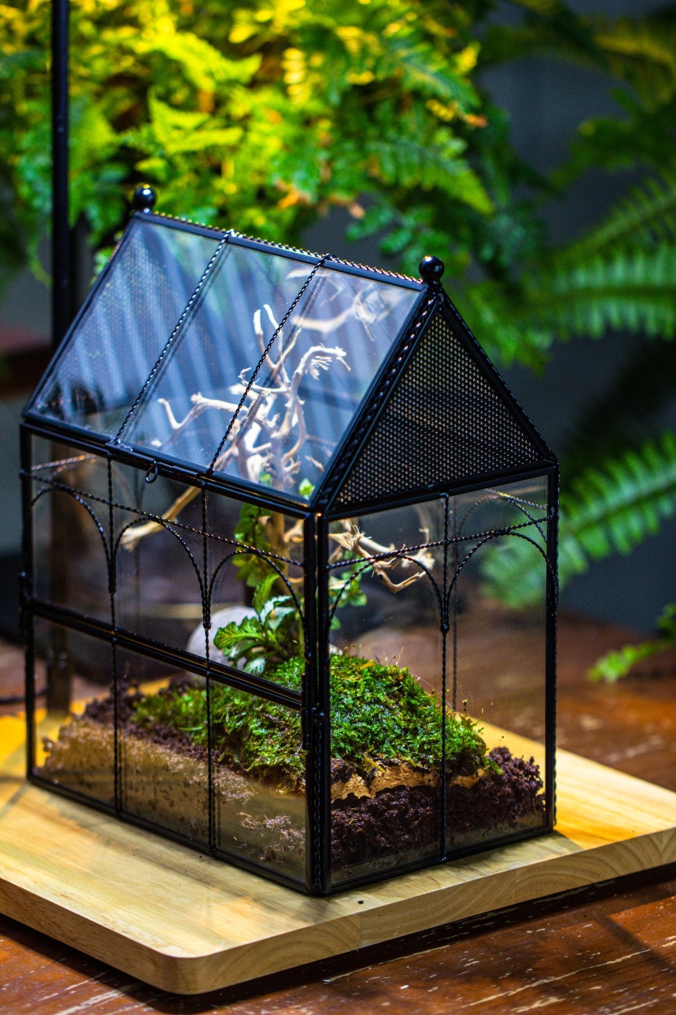 NCYP Vintage House Shape Glass Geometric Terrarium, with side door, with Mesh vent holes for small Insects Pet - NCYPgarden