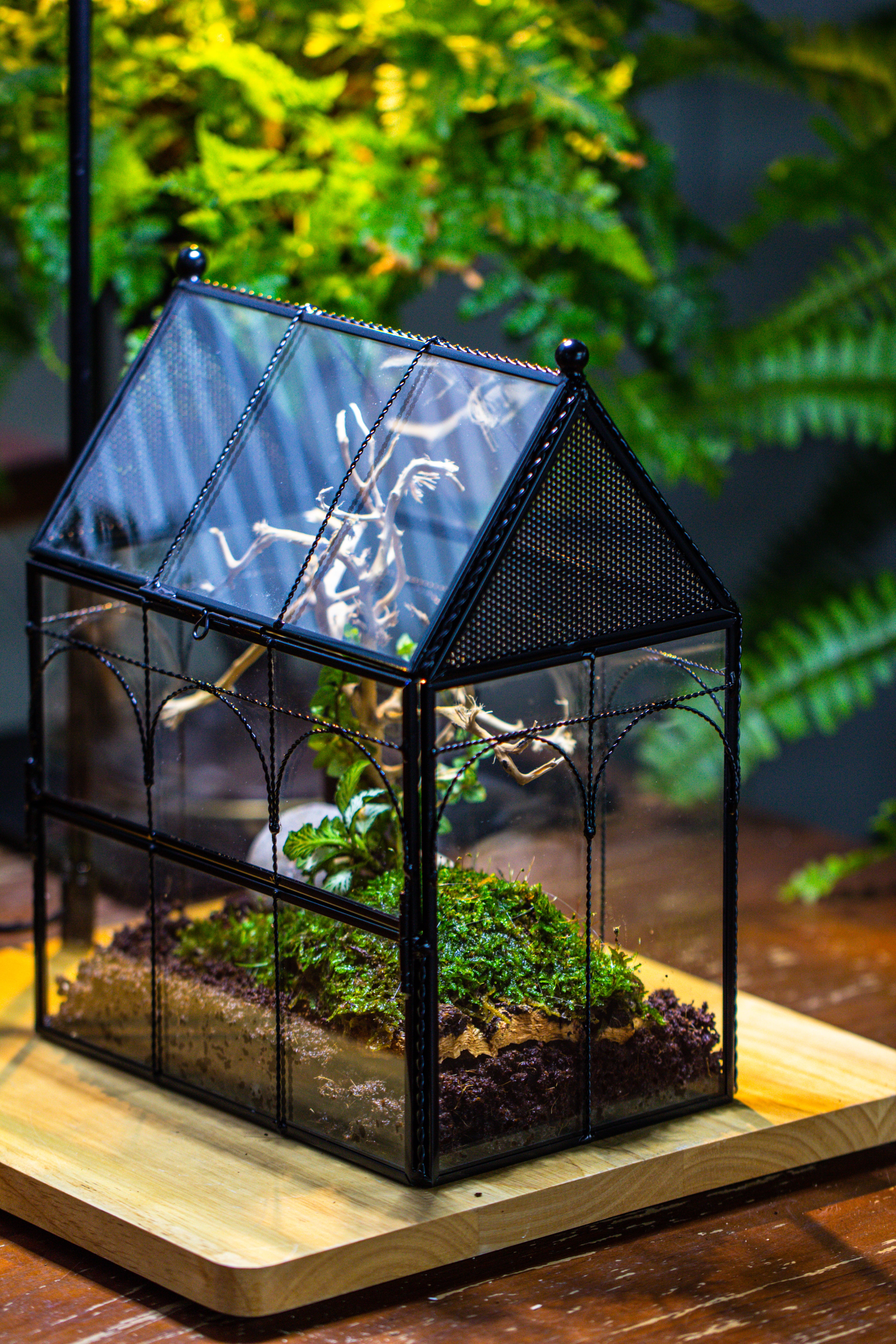 Handmade Twisted Wire House Shape Glass Geometric Terrarium with LED Light Set, Snail Jumping Spider Enclosure, Insect Container Set - NCYPgarden