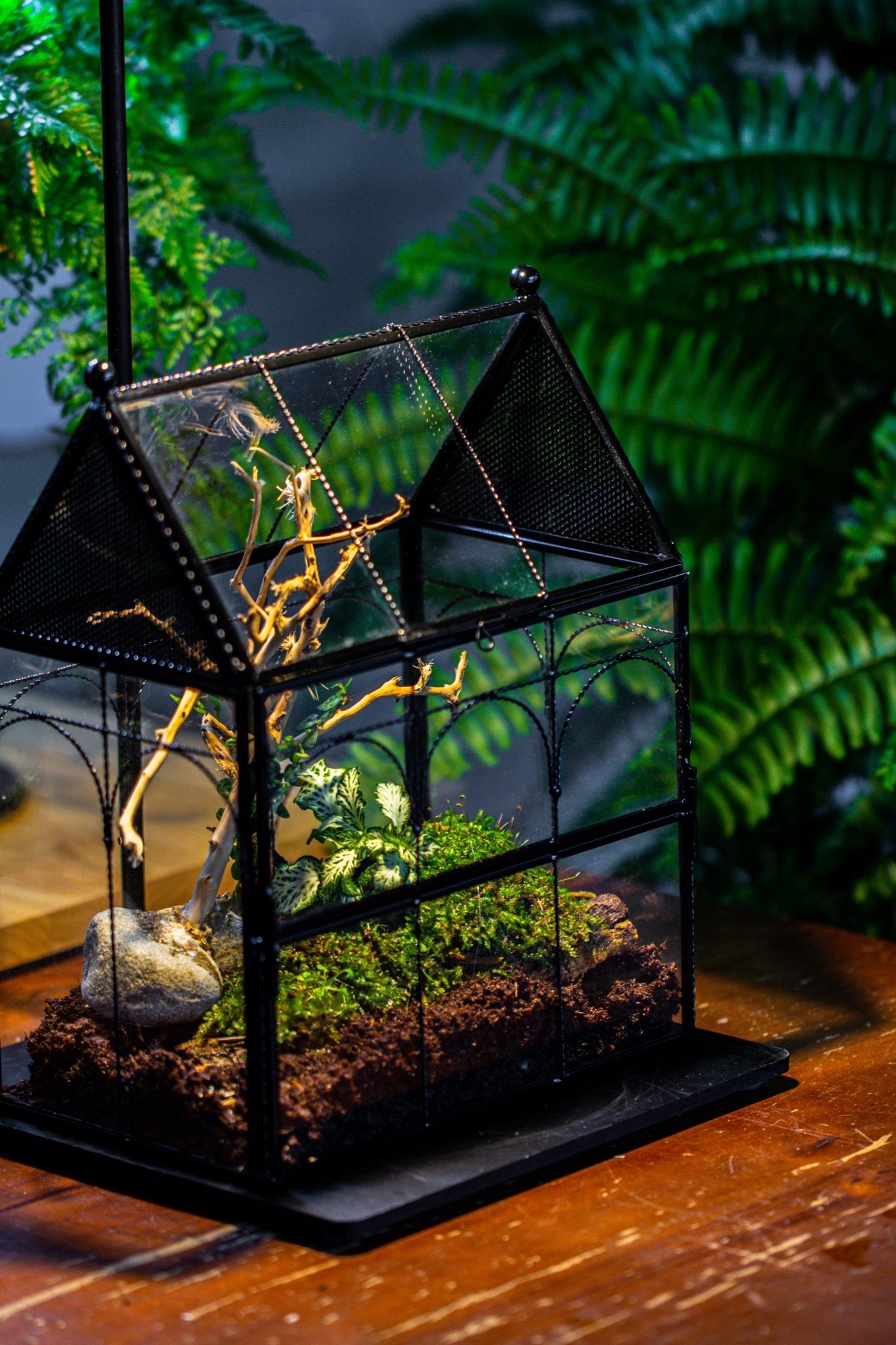 NCYP Vintage House Shape Glass Geometric Terrarium, with side door, with Mesh vent holes for small Insects Pet - NCYPgarden