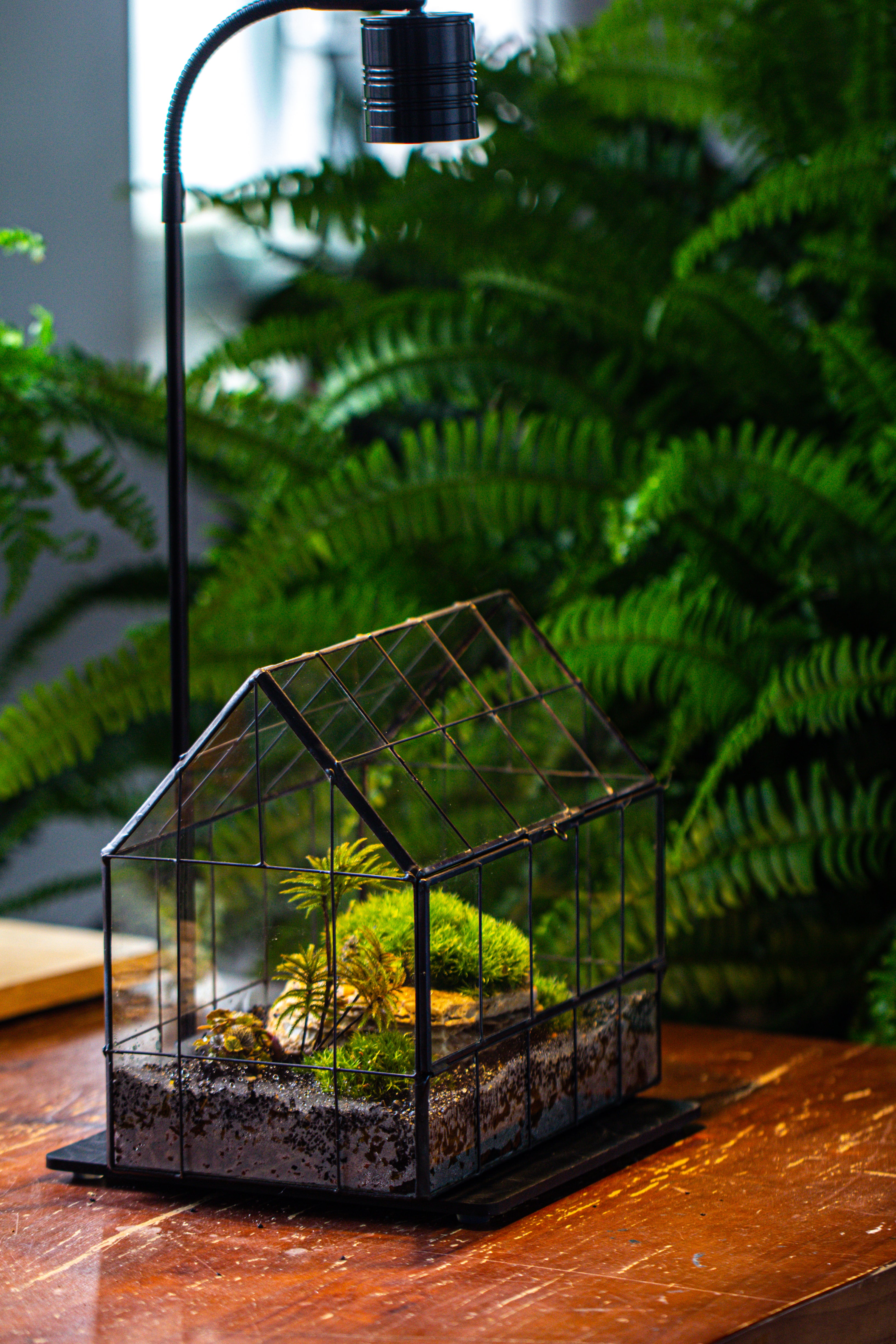 Handmade Glass Terrarium with LED Grow Light Set, Side Door Closed Geometric GreenHouse with Base and Light Set - NCYPgarden