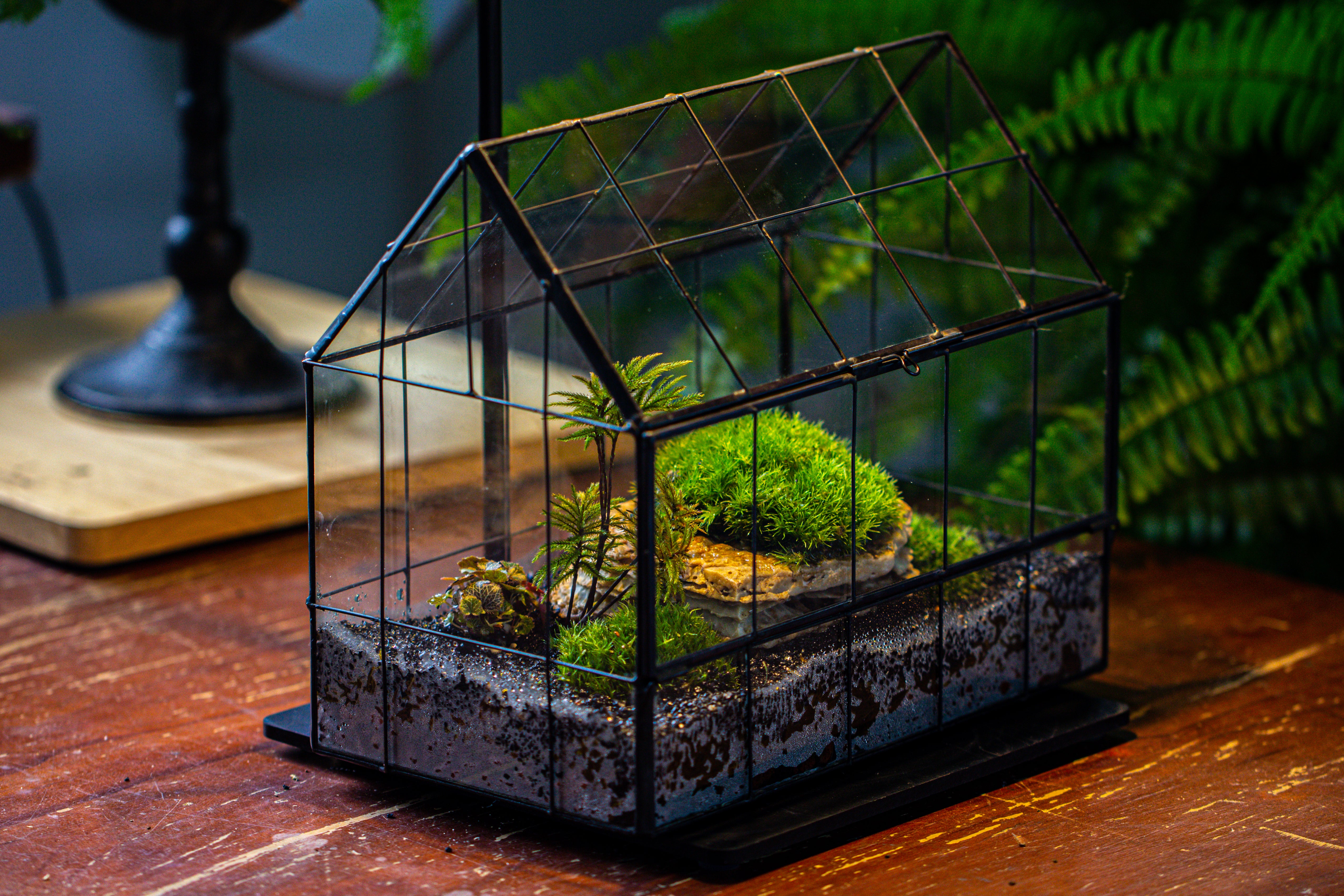 Handmade Glass Terrarium with LED Grow Light Set, Side Door Closed Geometric GreenHouse with Base and Light Set - NCYPgarden