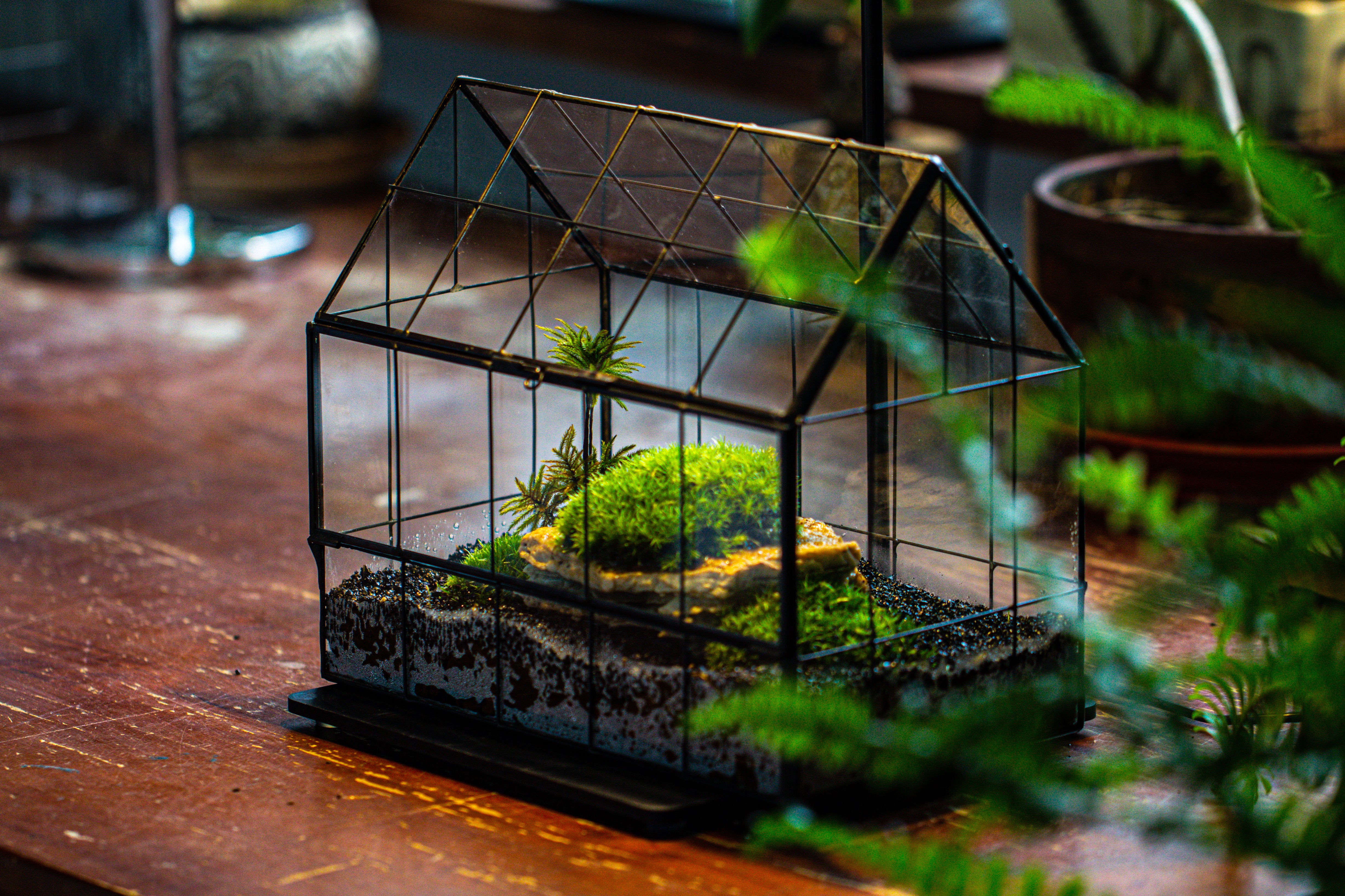 Handmade Glass Terrarium with LED Grow Light Set, Side Door Closed Geometric GreenHouse with Base and Light Set - NCYPgarden