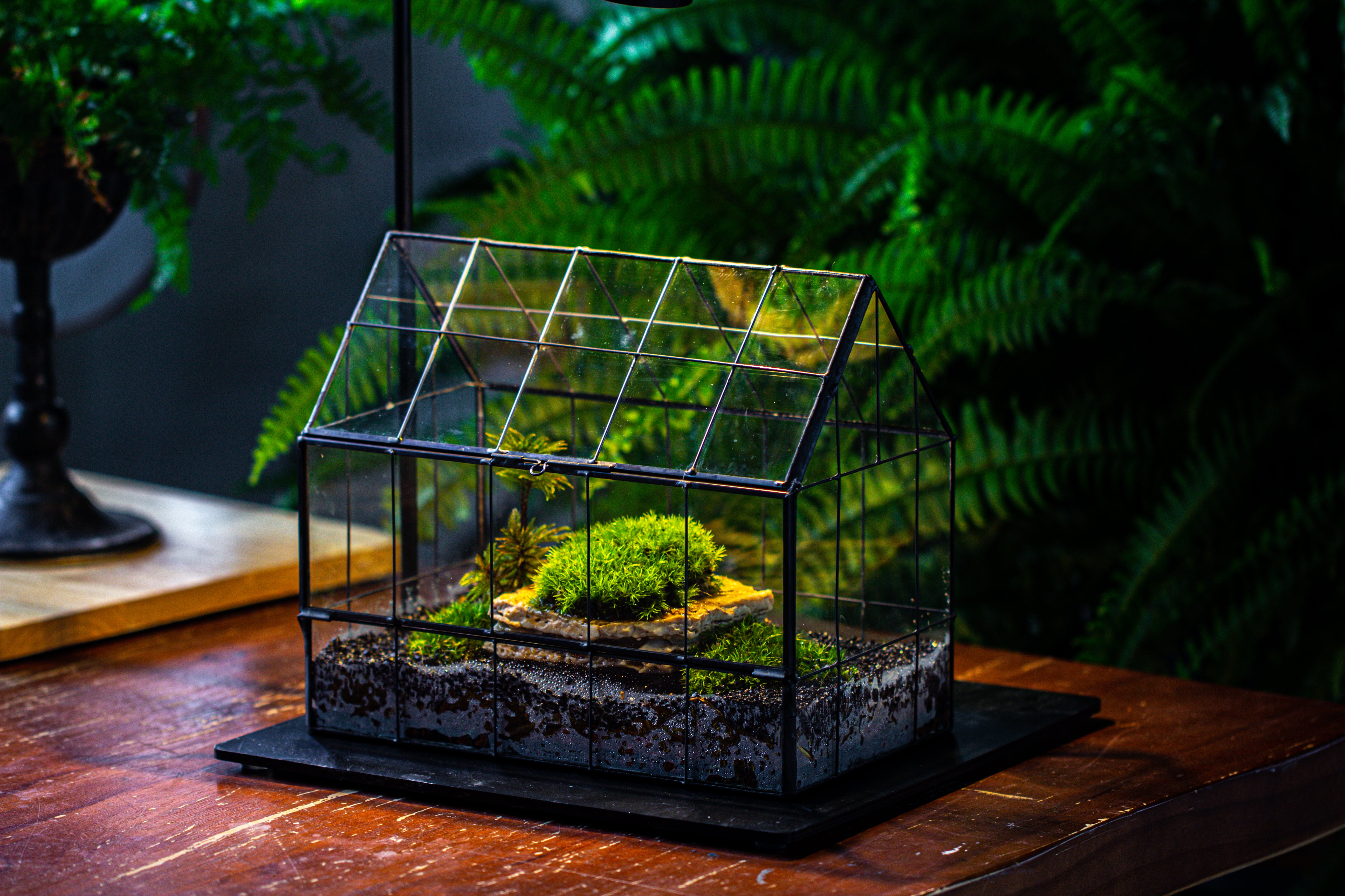 Handmade Glass Terrarium with LED Grow Light Set, Side Door Closed Geometric GreenHouse with Base and Light Set - NCYPgarden