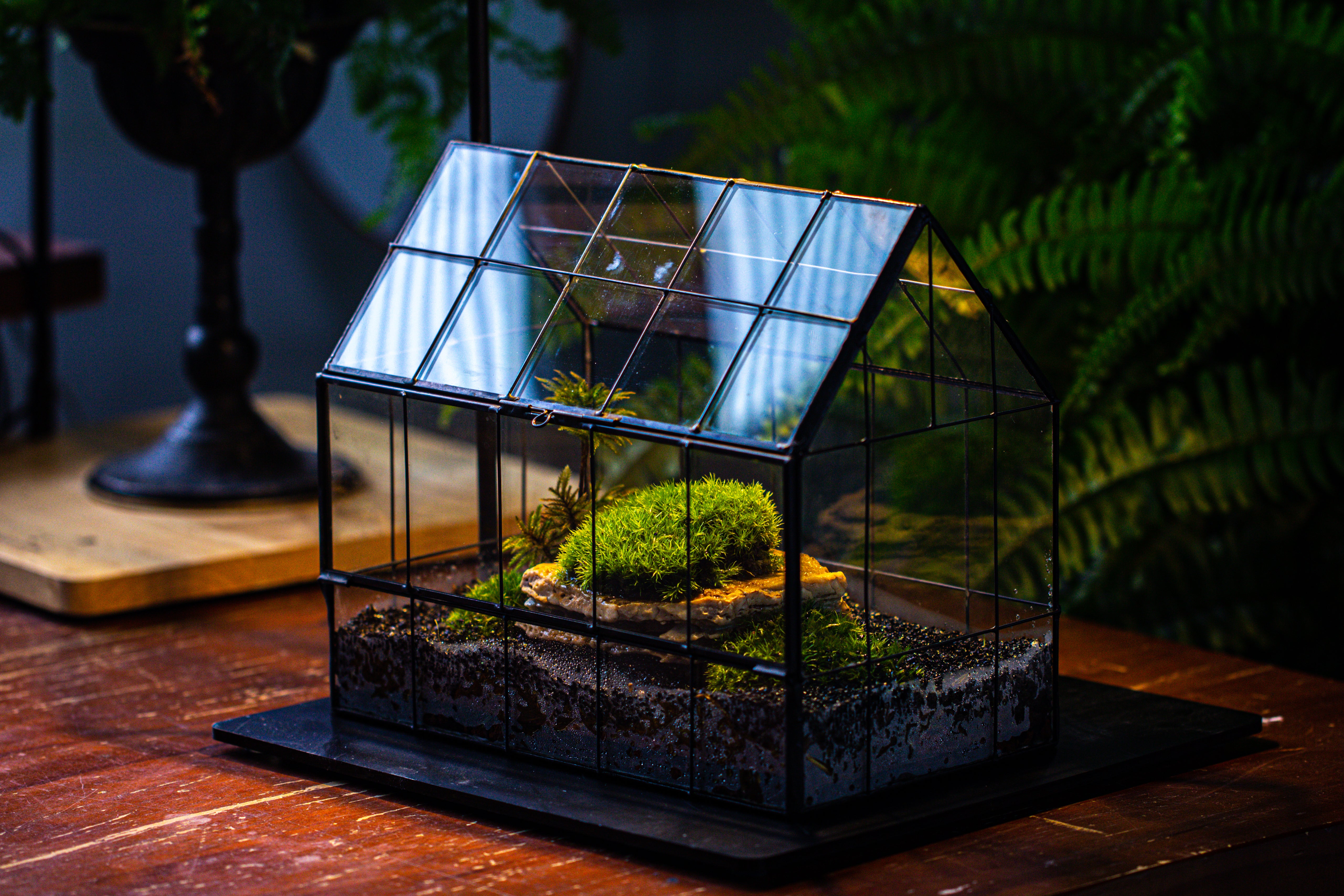 Handmade Glass Terrarium with LED Grow Light Set - NCYPgarden