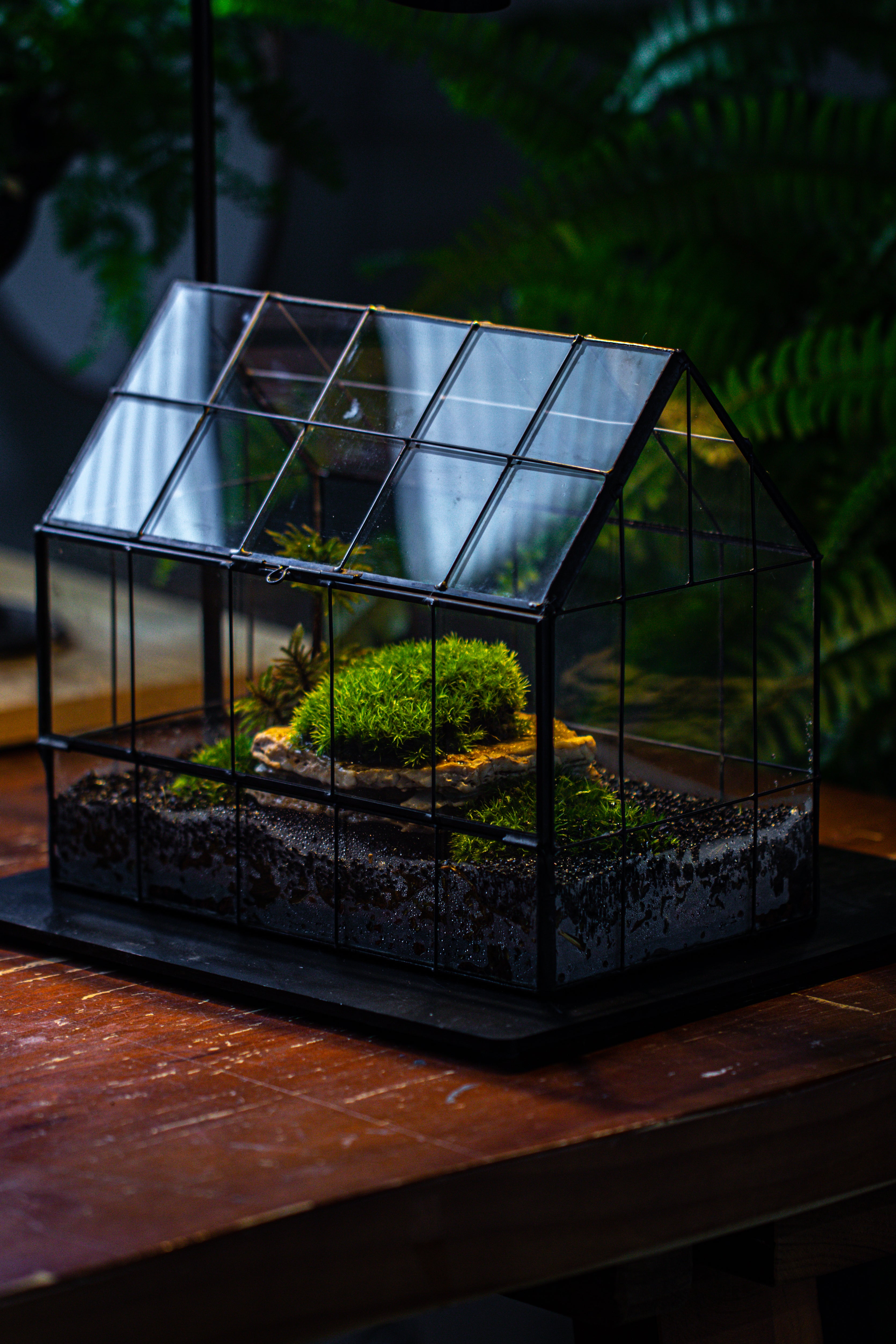 Handmade Glass Terrarium with LED Grow Light Set, Side Door Closed Geometric GreenHouse with Base and Light Set - NCYPgarden
