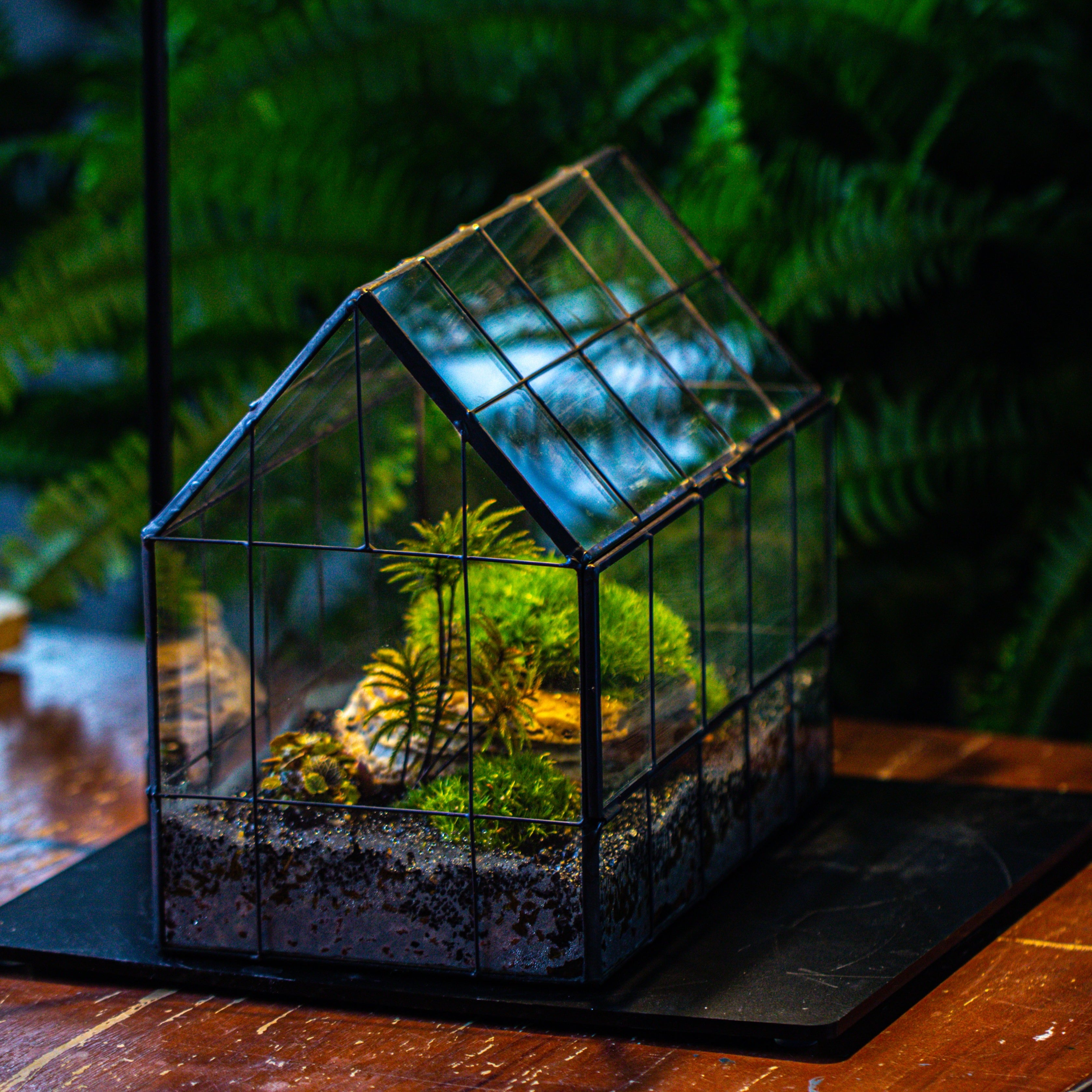 Handmade Glass Terrarium with LED Grow Light Set, Side Door Closed Geometric GreenHouse with Base and Light Set - NCYPgarden