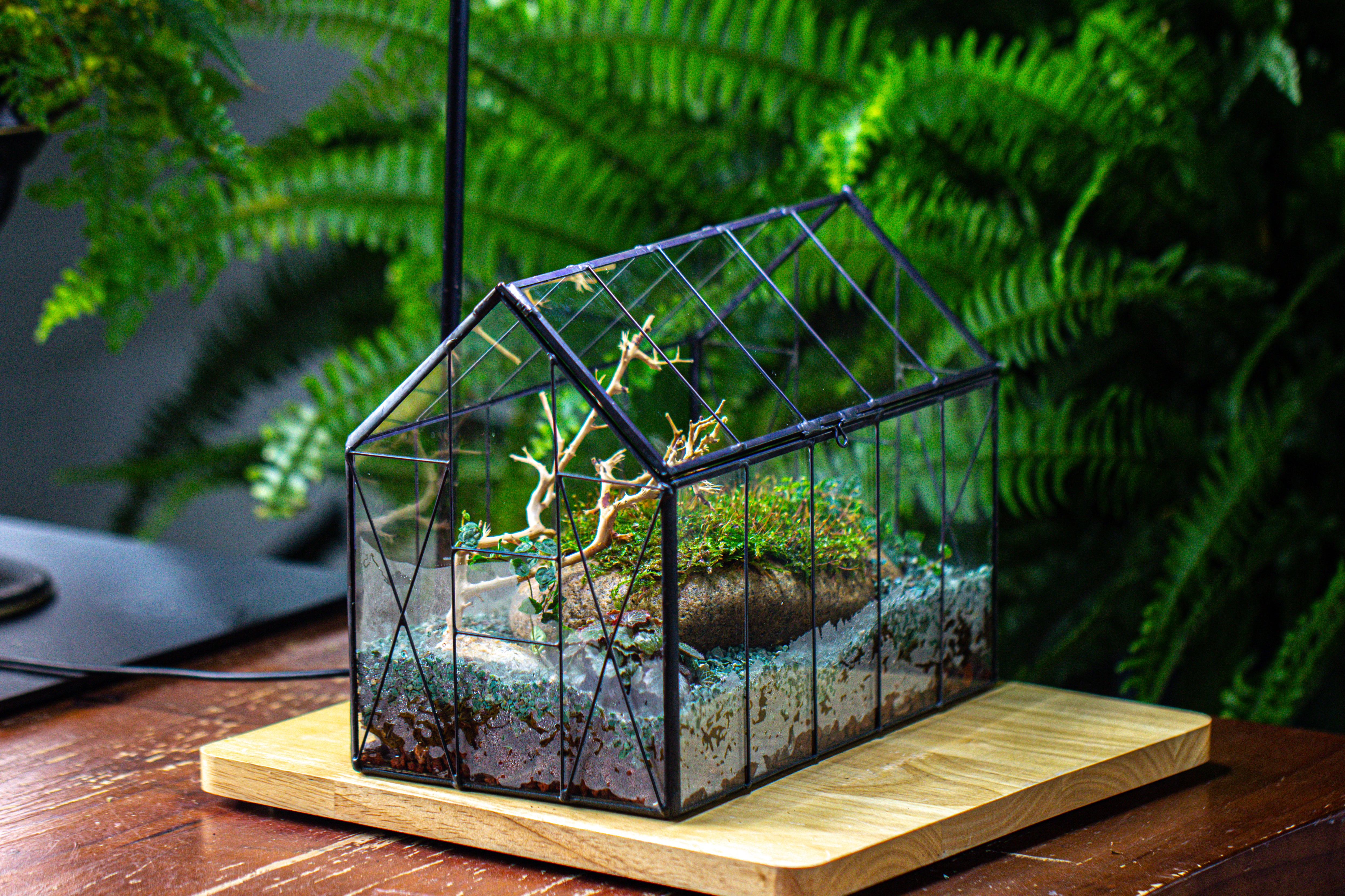 Handmade Vintage Greenhouse Inspired Tin Terrarium with LED Grow Light Set, Closed Glass Planter Set - NCYPgarden