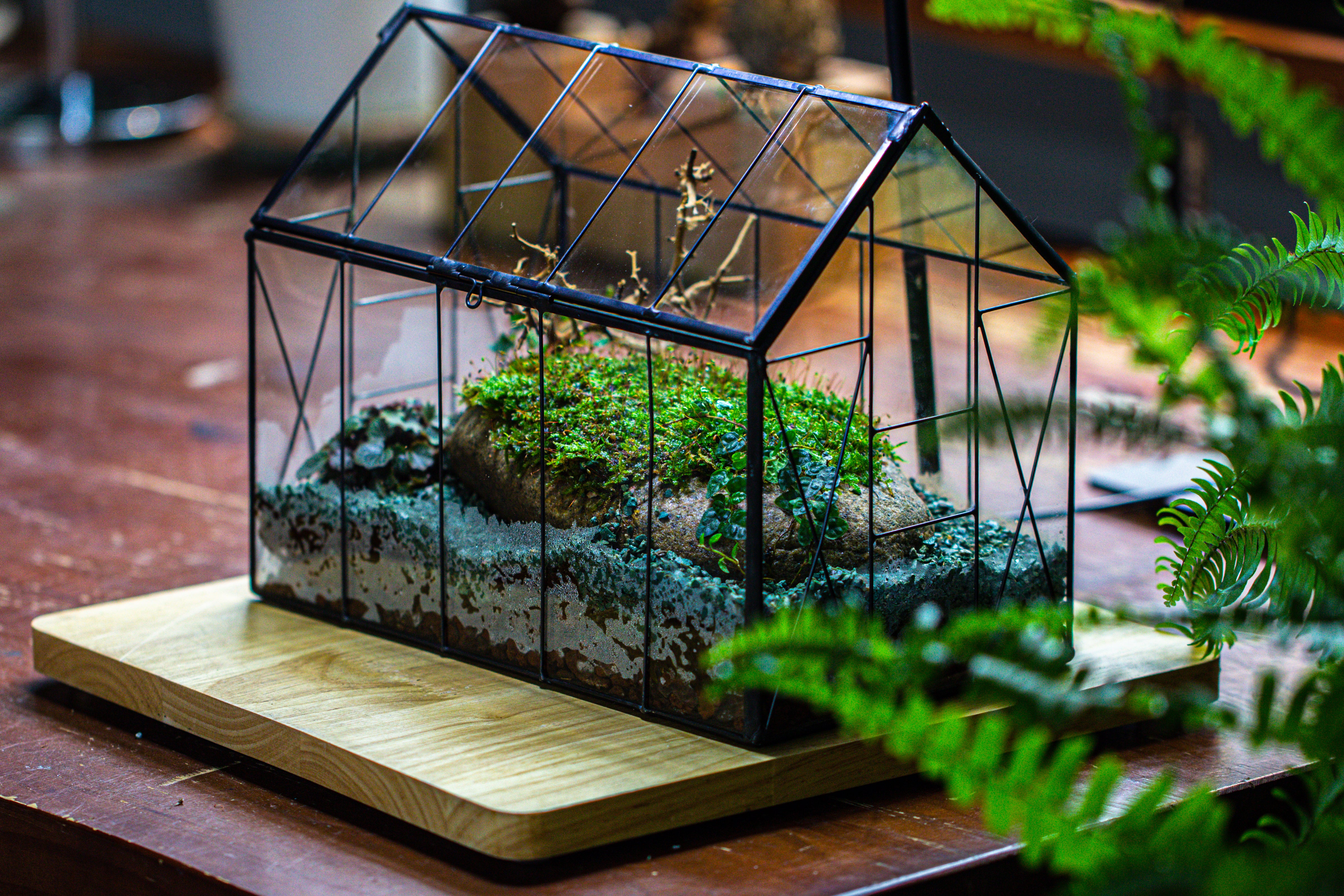 Handmade Vintage Greenhouse Inspired Tin Terrarium with LED Grow Light Set, Closed Glass Planter Set - NCYPgarden