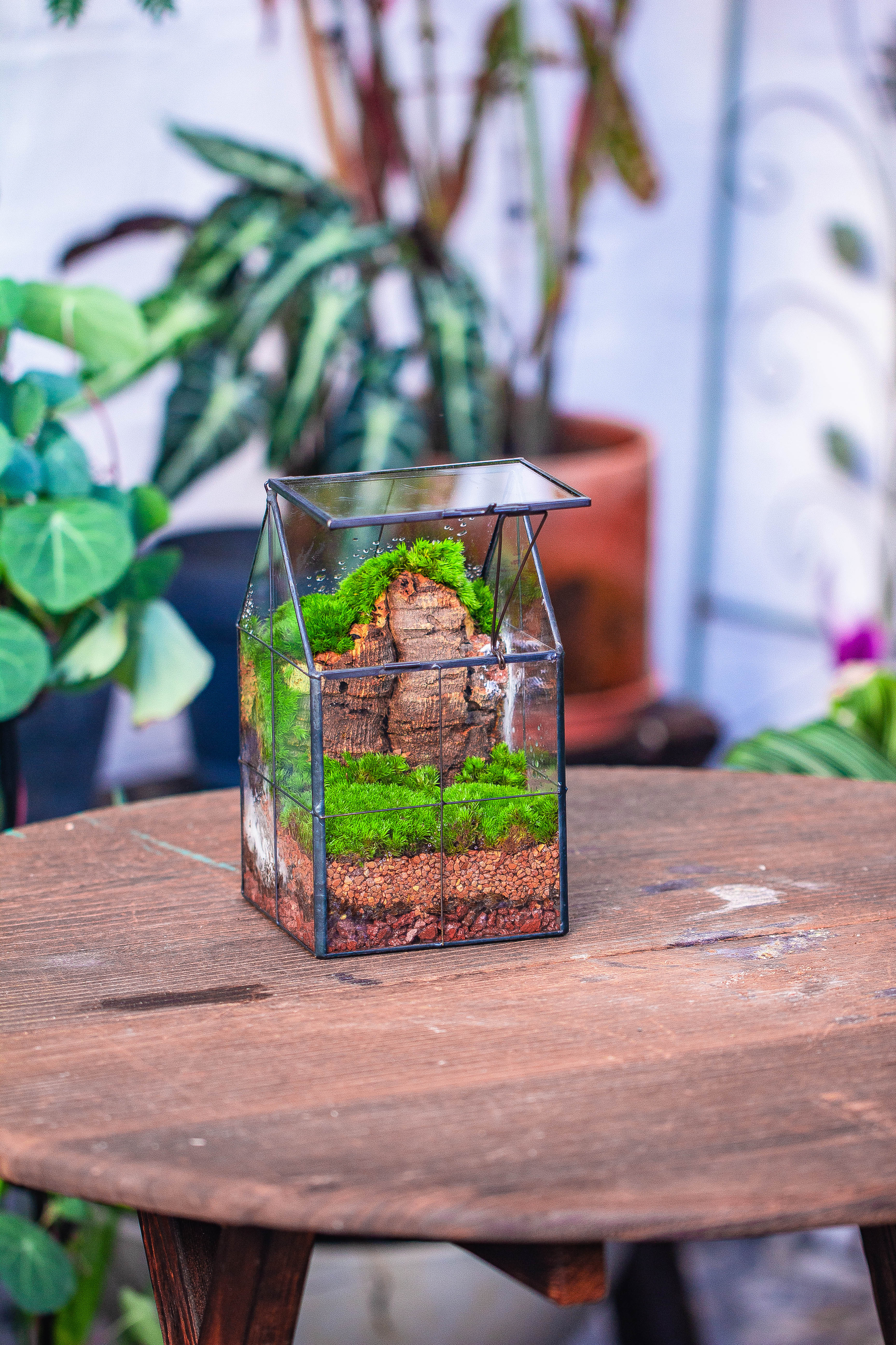 Handmade glass and tin close highe mini house shape close geometric terrarium for moss, succulents, Drosera - NCYPgarden