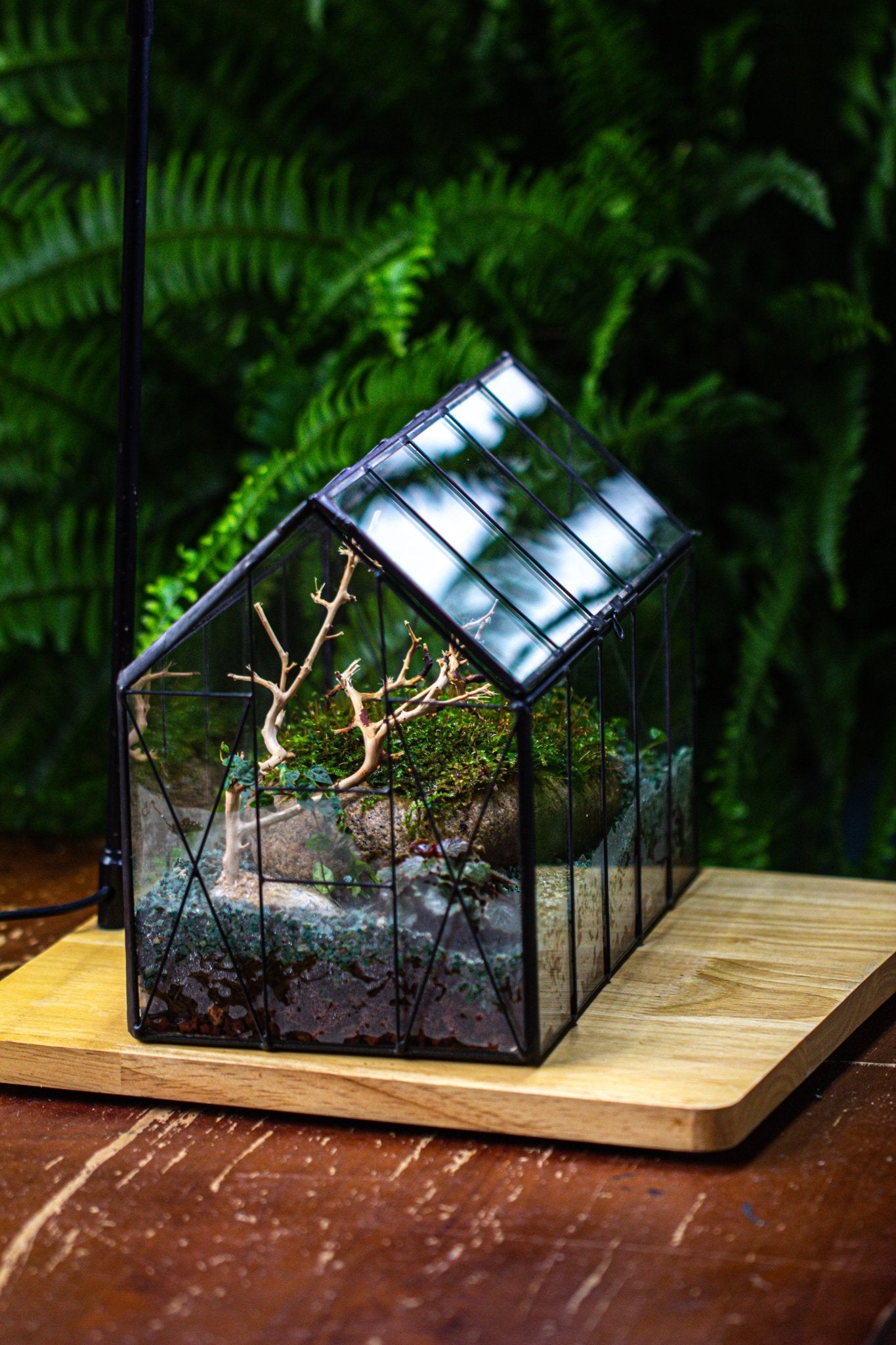 Handmade Vintage Greenhouse Inspired Tin Terrarium with LED Grow Light Set, Closed Glass Planter Set - NCYPgarden