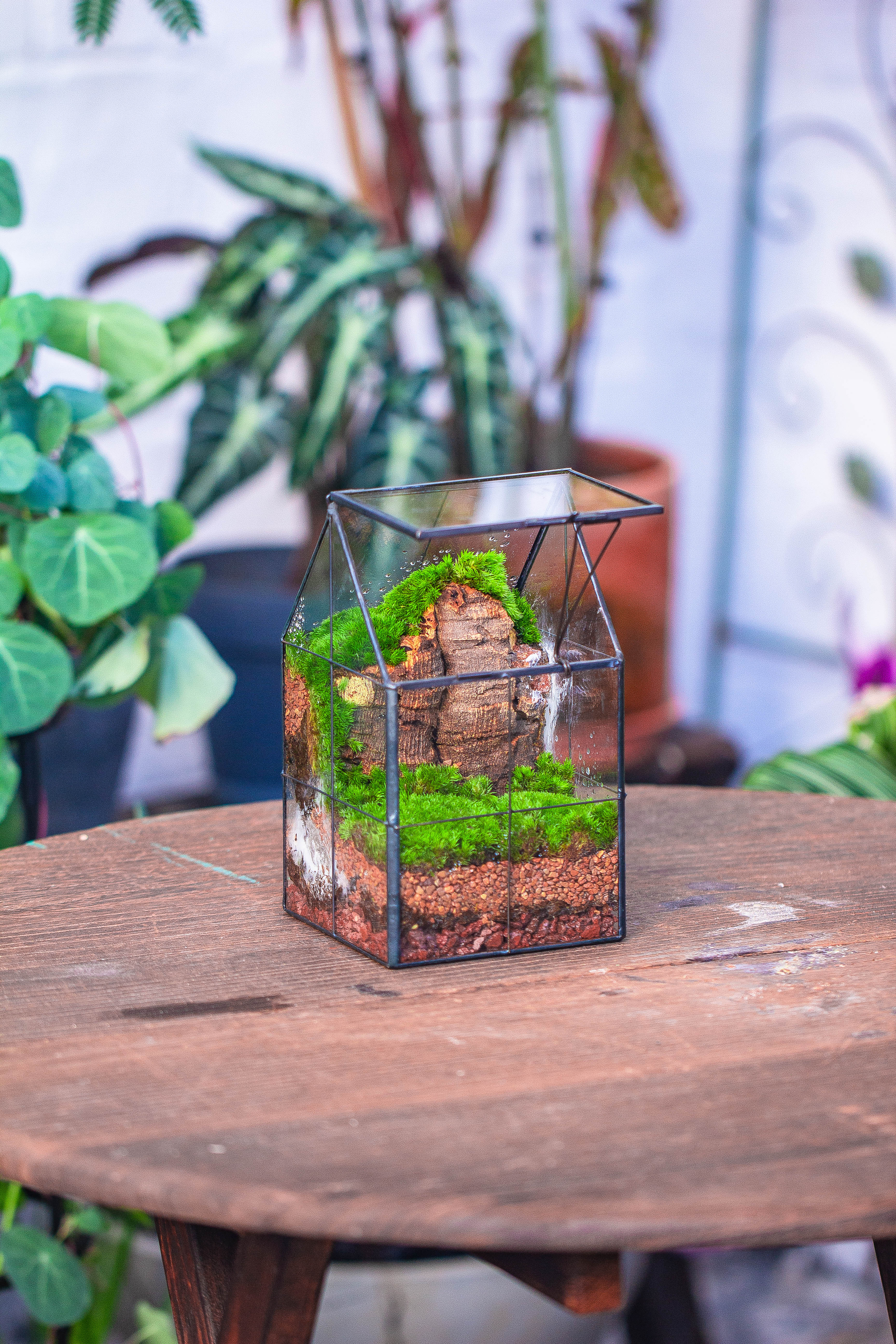 Handmade glass and tin close highe mini house shape close geometric terrarium for moss, succulents, Drosera - NCYPgarden
