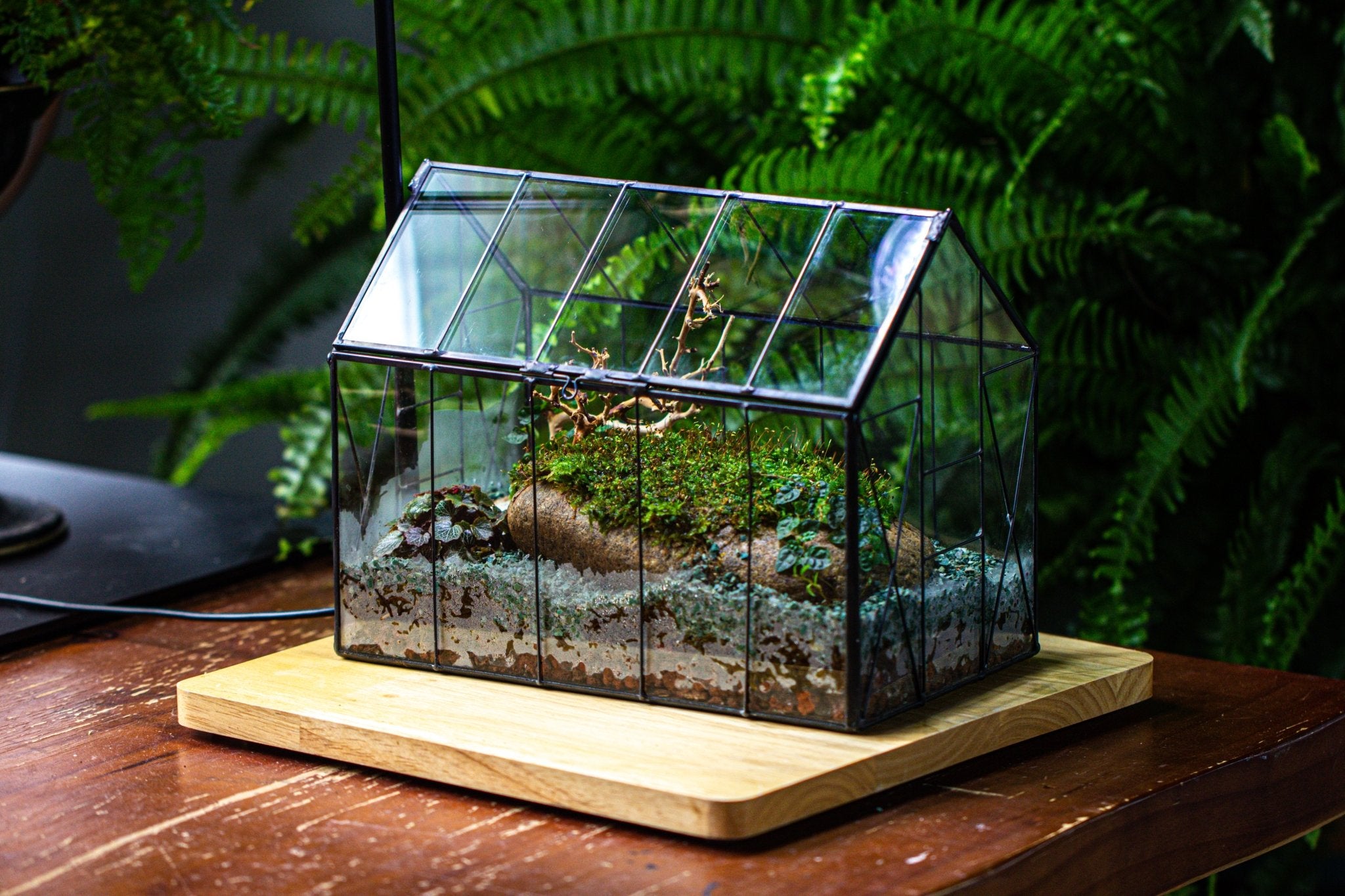 Handmade Vintage Greenhouse Inspired Tin Terrarium with LED Grow Light Set, Closed Glass Planter Set - NCYPgarden