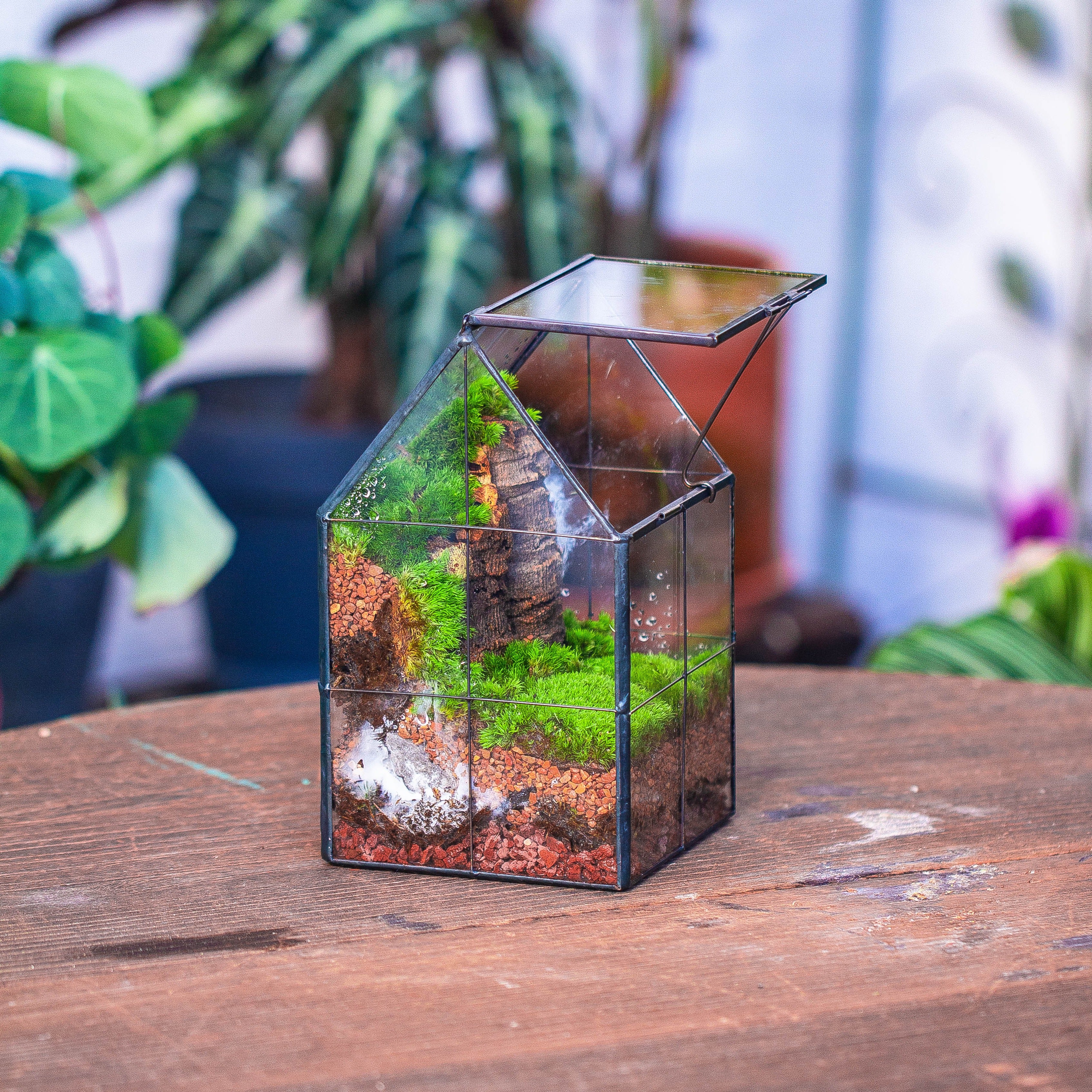 Handmade glass and tin close highe mini house shape close geometric terrarium for moss, succulents, Drosera - NCYPgarden