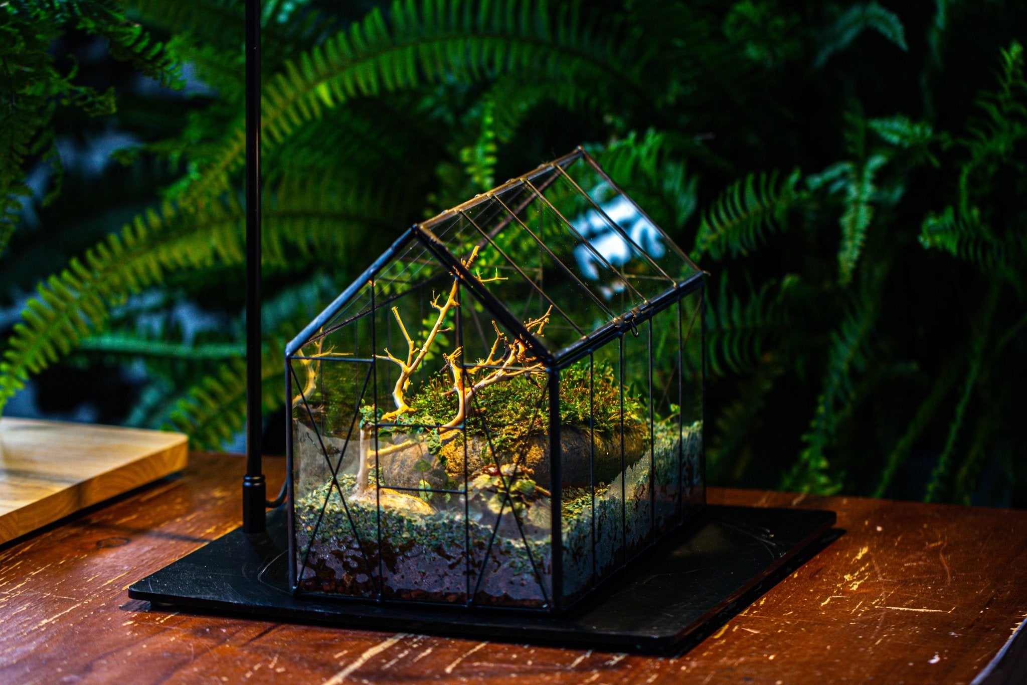Handmade Vintage Greenhouse Inspired Tin Terrarium with LED Grow Light Set, Closed Glass Planter Set - NCYPgarden