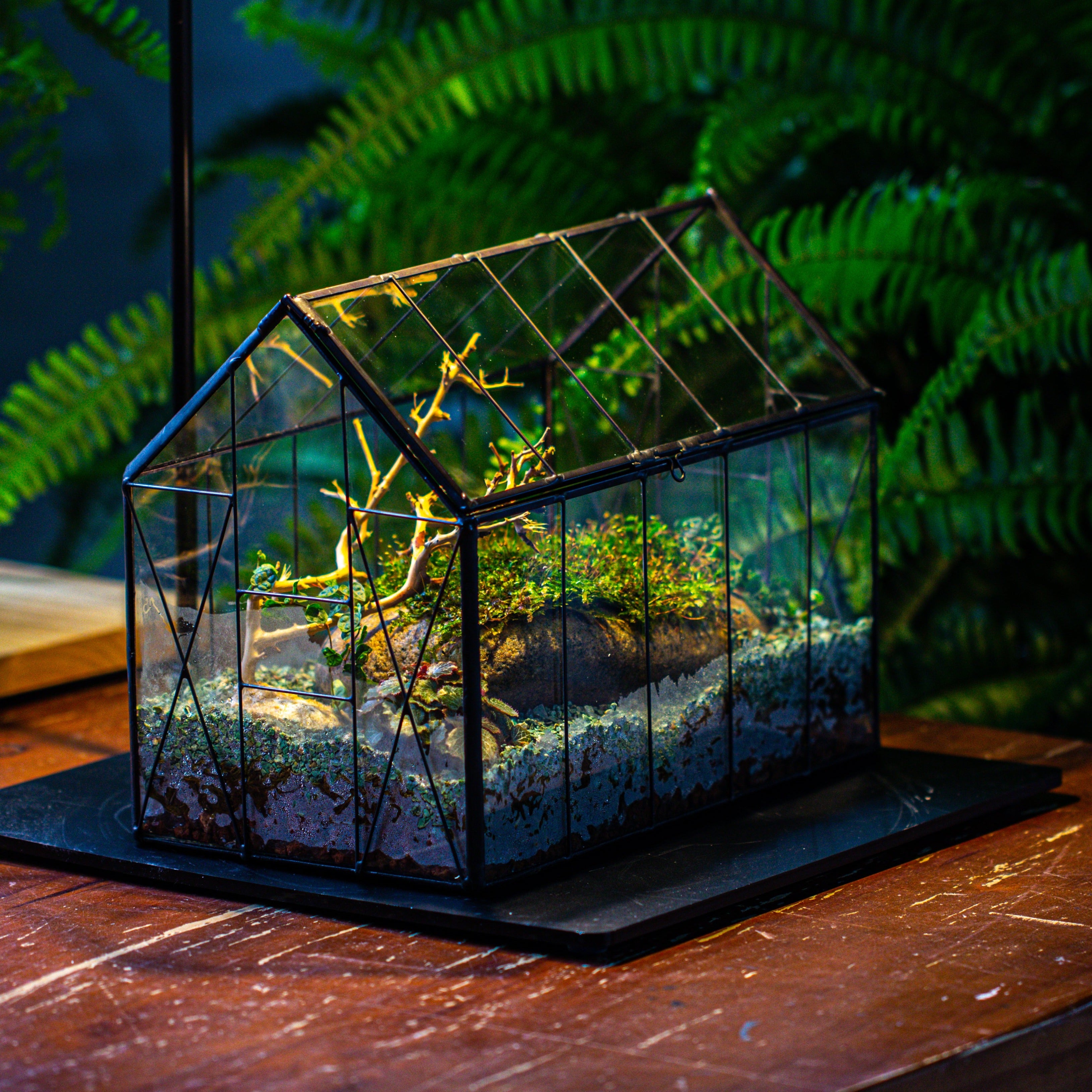 Handmade Vintage Greenhouse Inspired Tin Terrarium with LED Grow Light Set, Closed Glass Planter Set - NCYPgarden