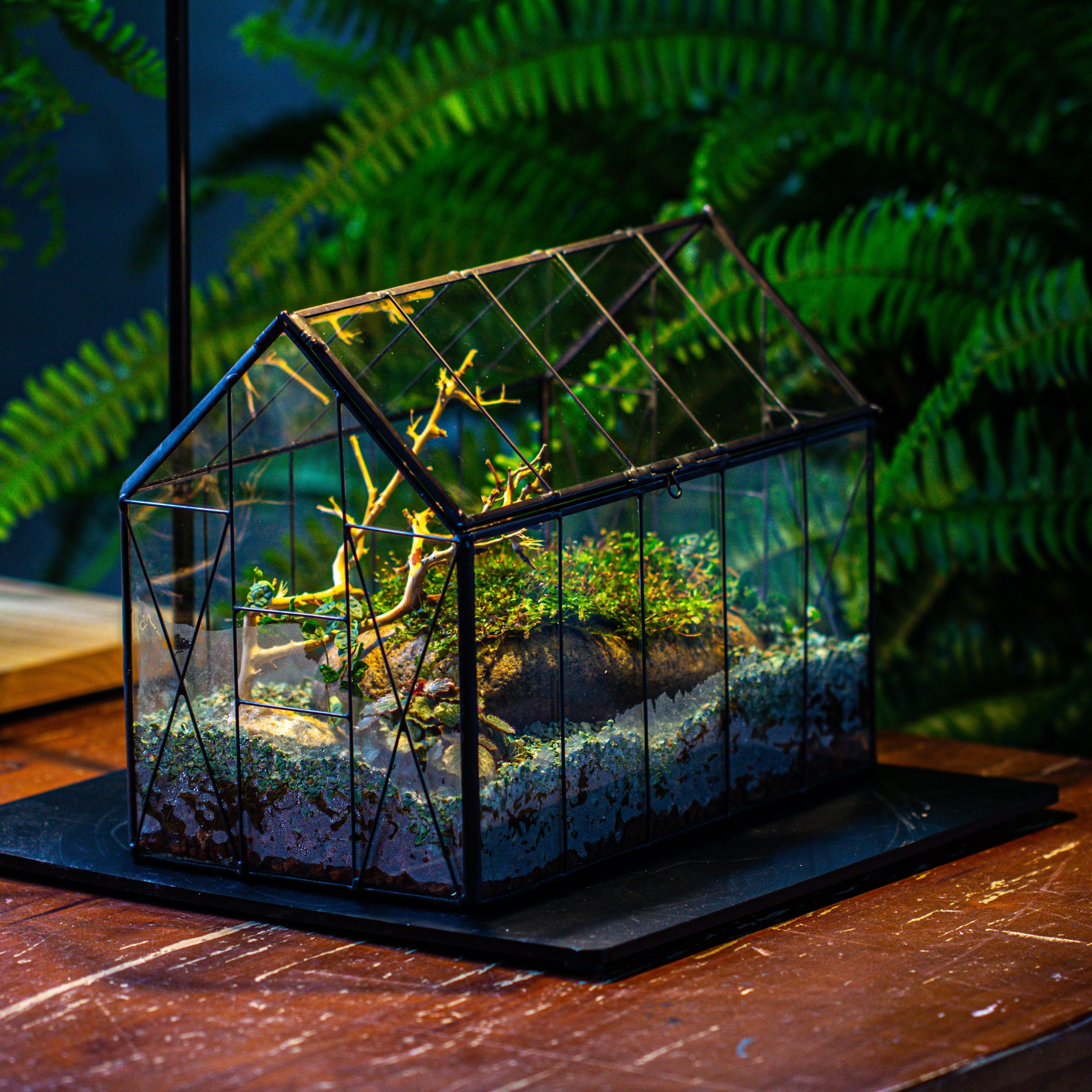 Handmade Vintage Greenhouse Inspired Tin Terrarium with LED Grow Light Set, Closed Glass Planter Set - NCYPgarden