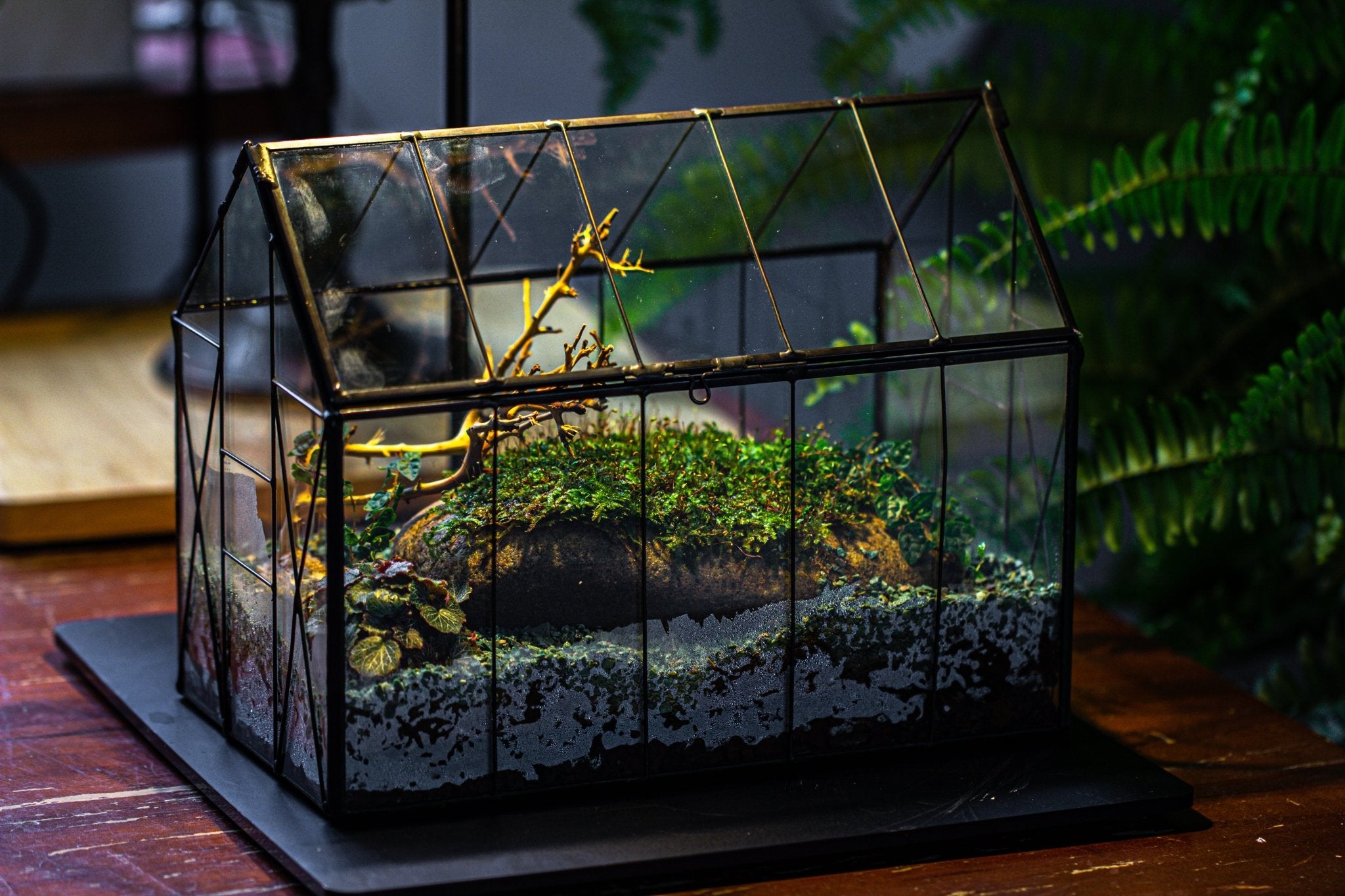 Handmade Vintage Greenhouse Inspired Tin Terrarium with LED Grow Light Set, Closed Glass Planter Set - NCYPgarden