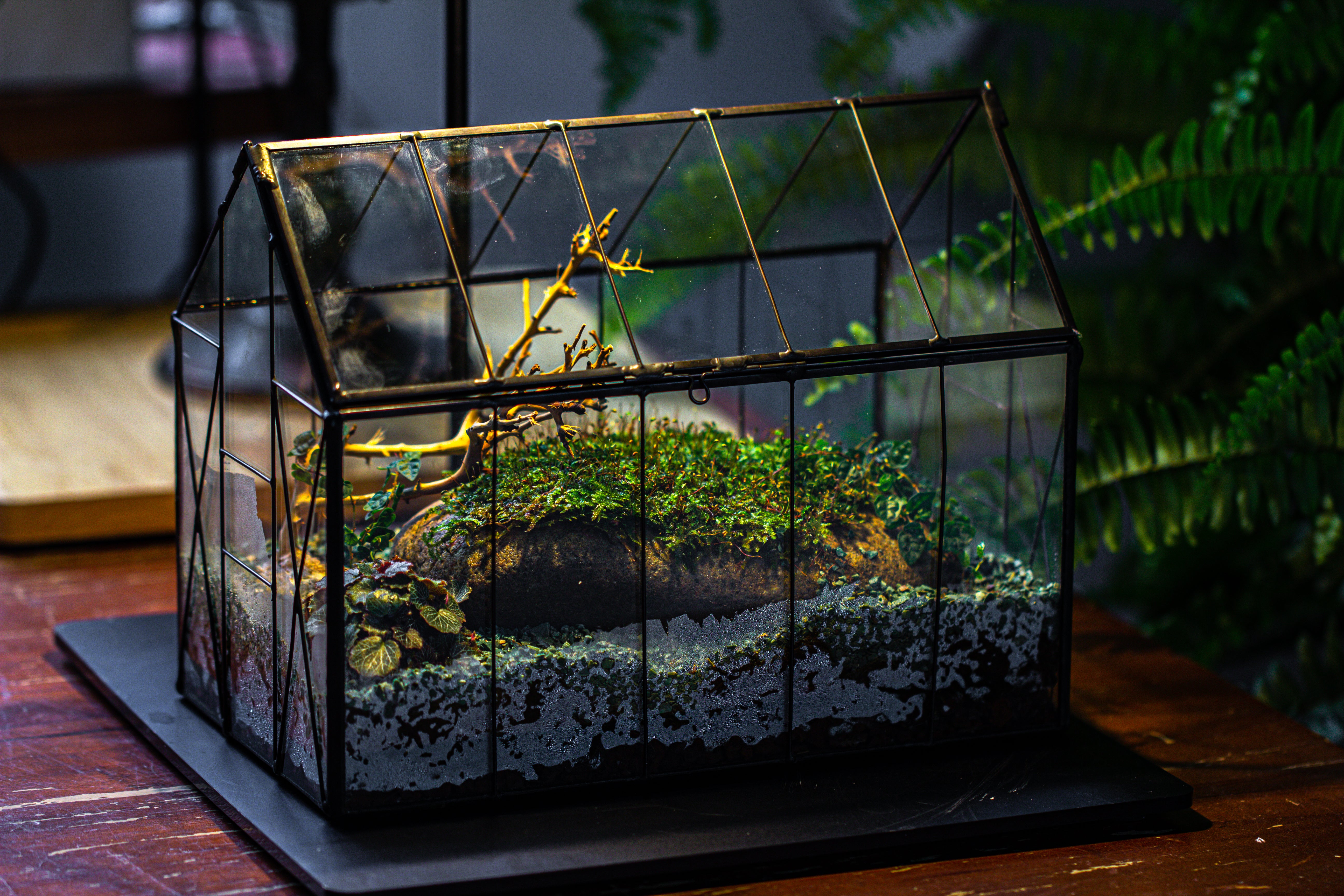 Handmade Vintage Greenhouse Inspired Tin Terrarium with LED Grow Light Set, Closed Glass Planter Set - NCYPgarden