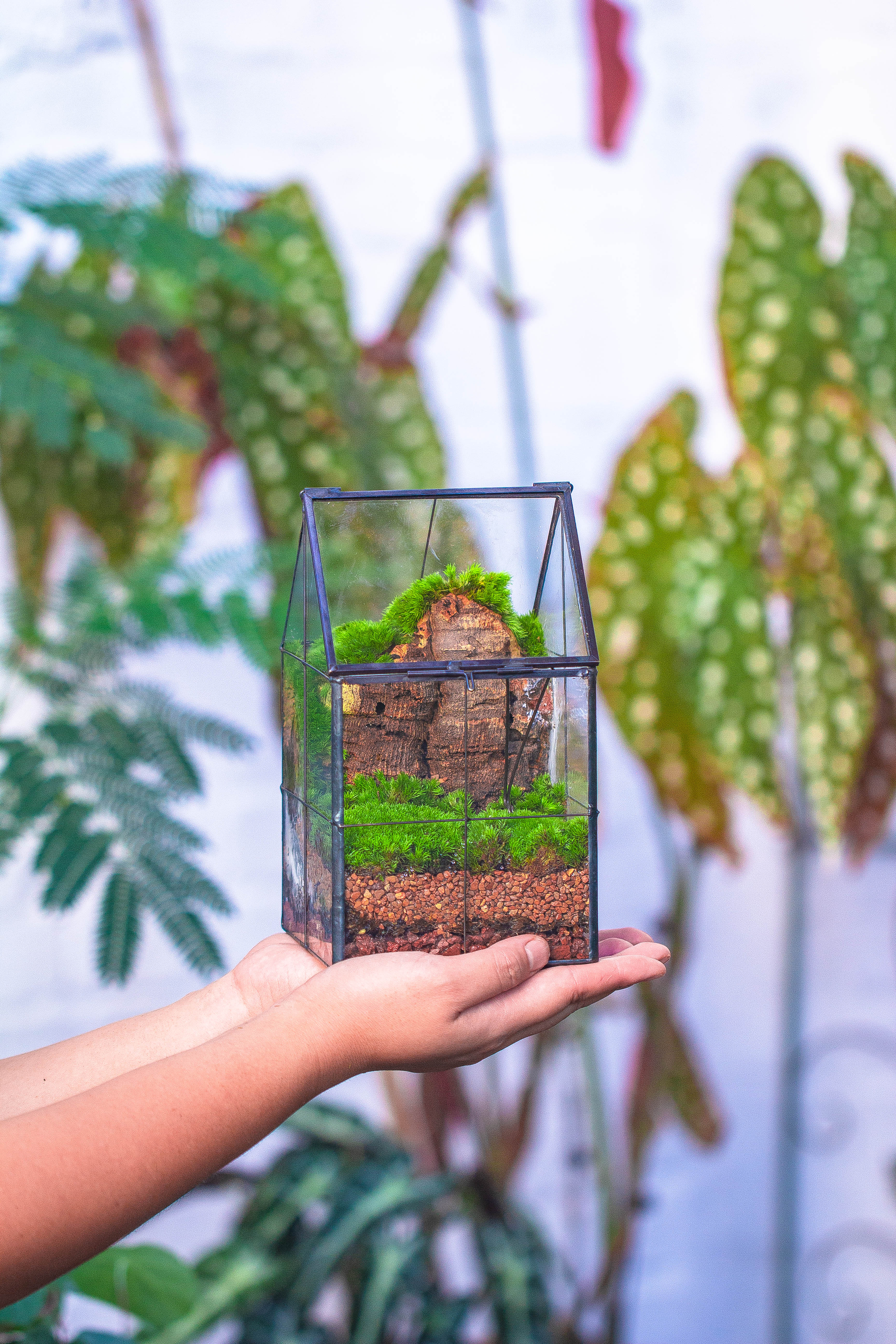 Handmade glass and tin close highe mini house shape close geometric terrarium for moss, succulents, Drosera - NCYPgarden