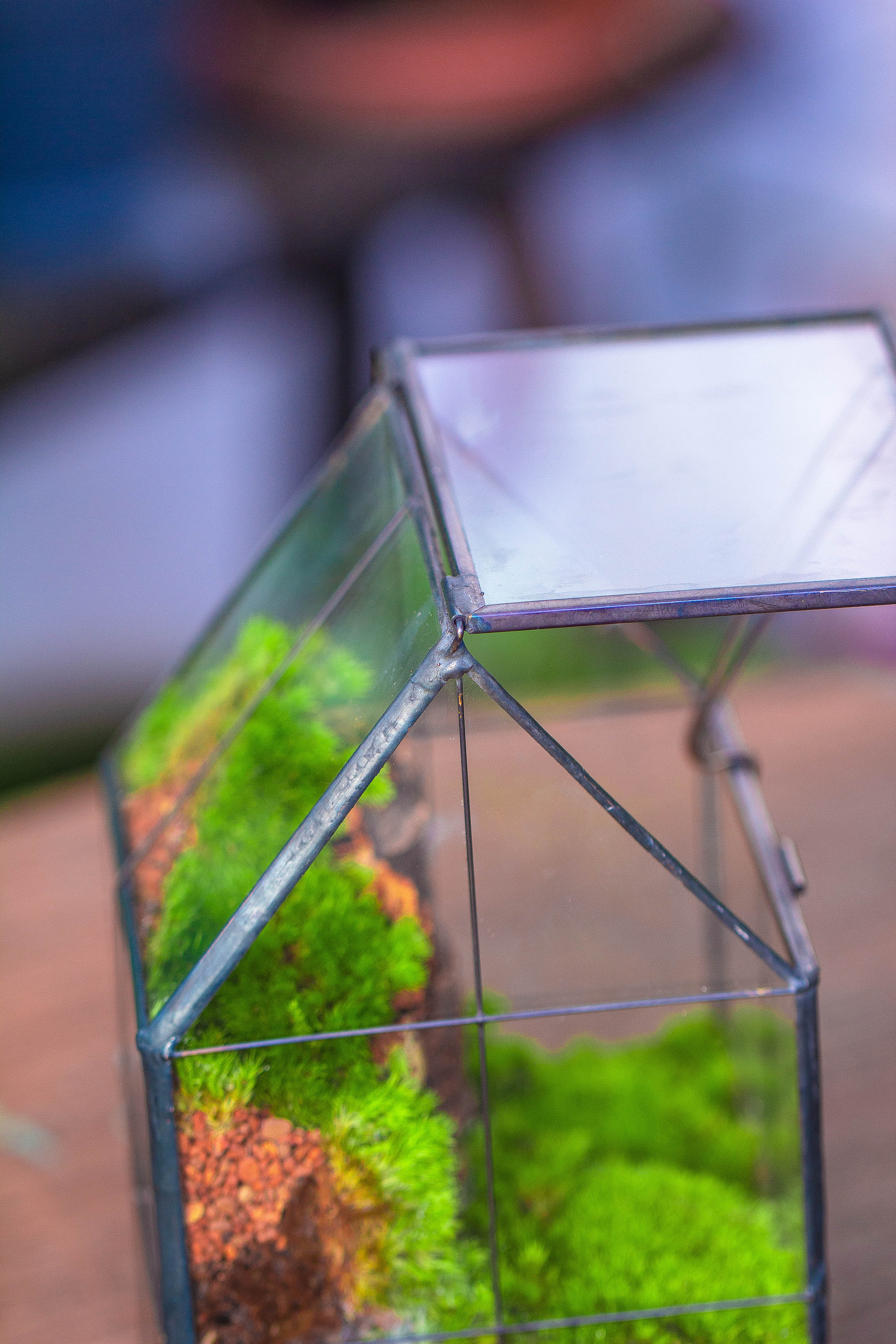 Handmade glass and tin close highe mini house shape close geometric terrarium for moss, succulents, Drosera - NCYPgarden