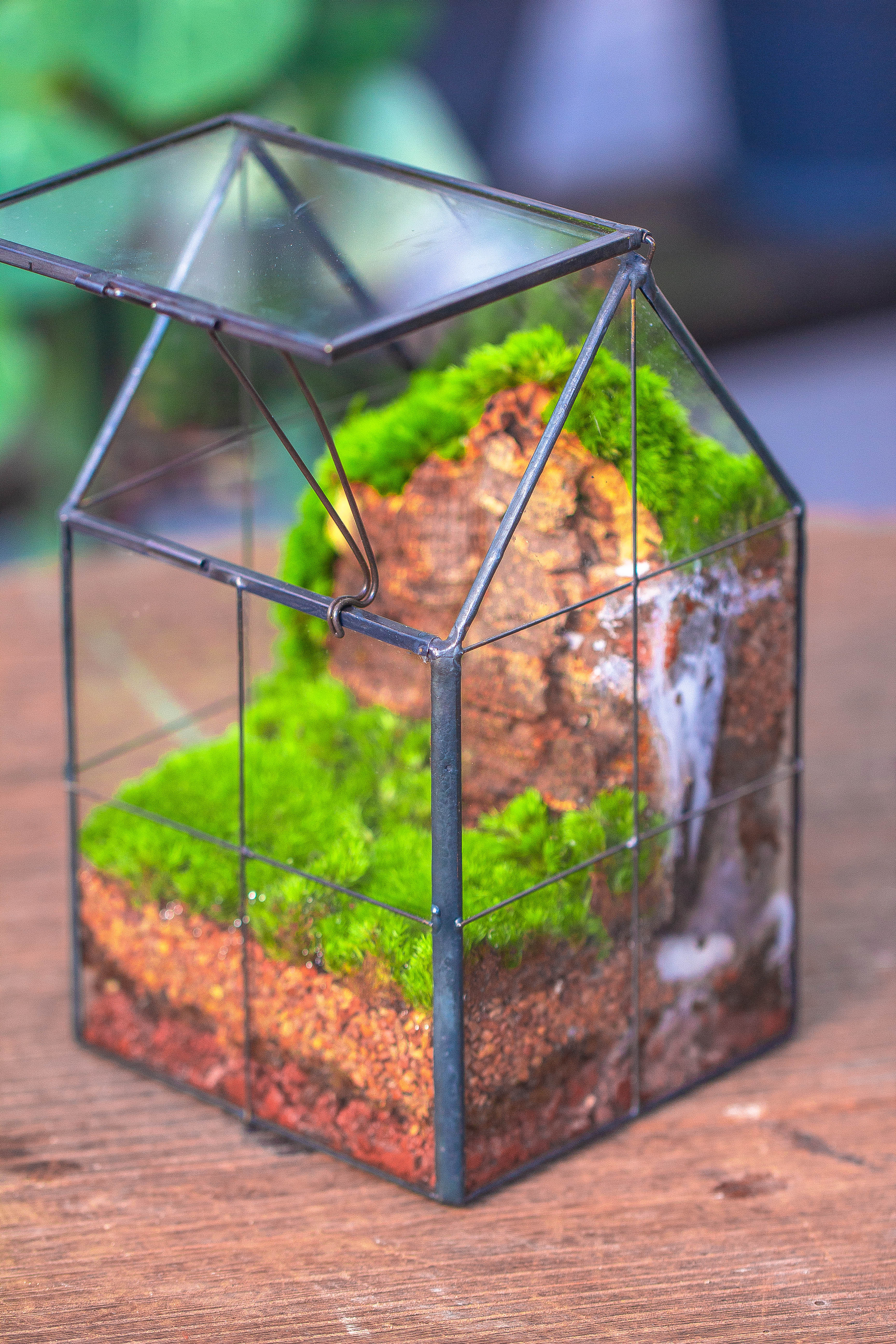 Handmade glass and tin close highe mini house shape close geometric terrarium for moss, succulents, Drosera - NCYPgarden
