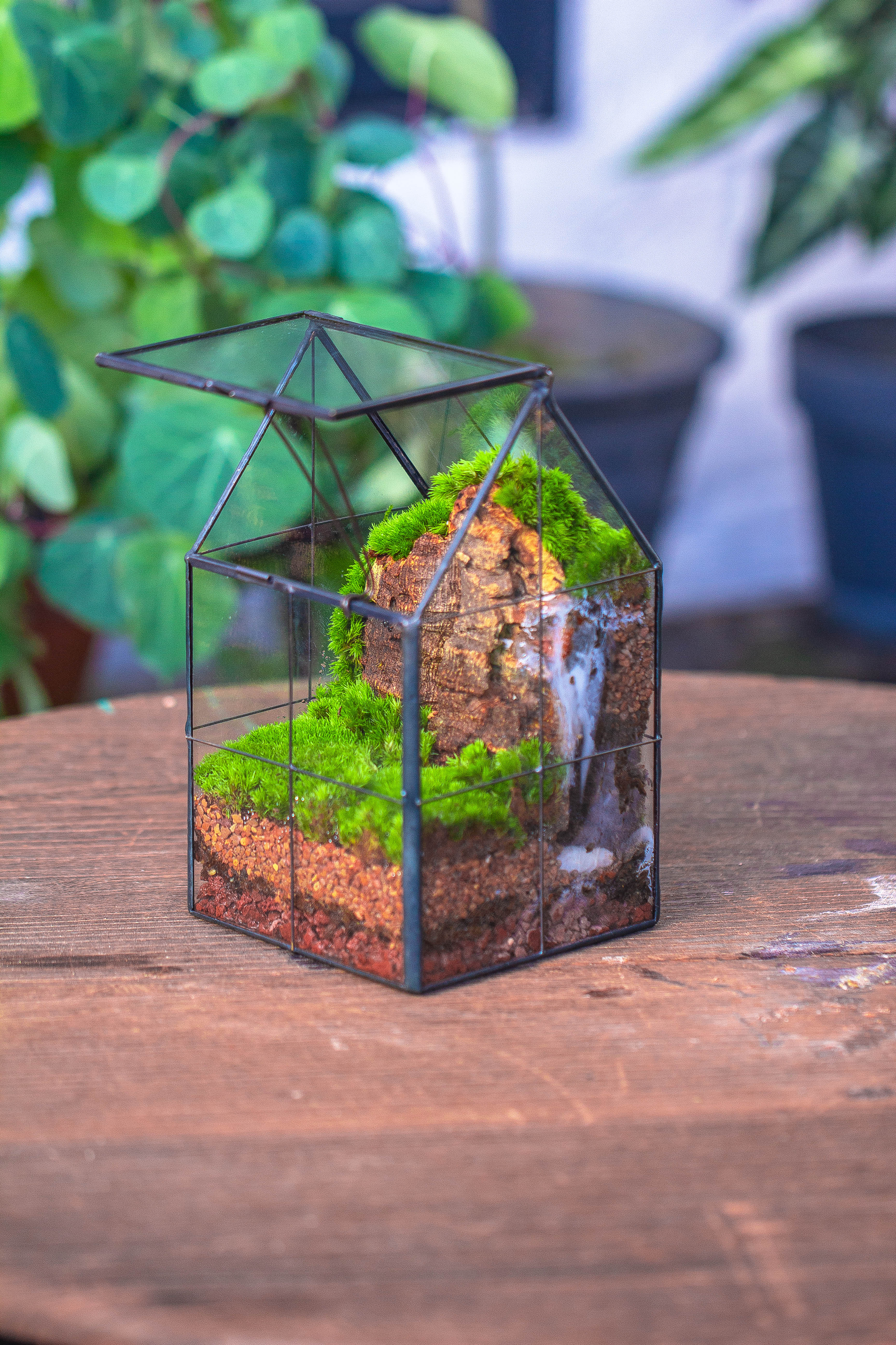 Handmade glass and tin close highe mini house shape close geometric terrarium for moss, succulents, Drosera - NCYPgarden