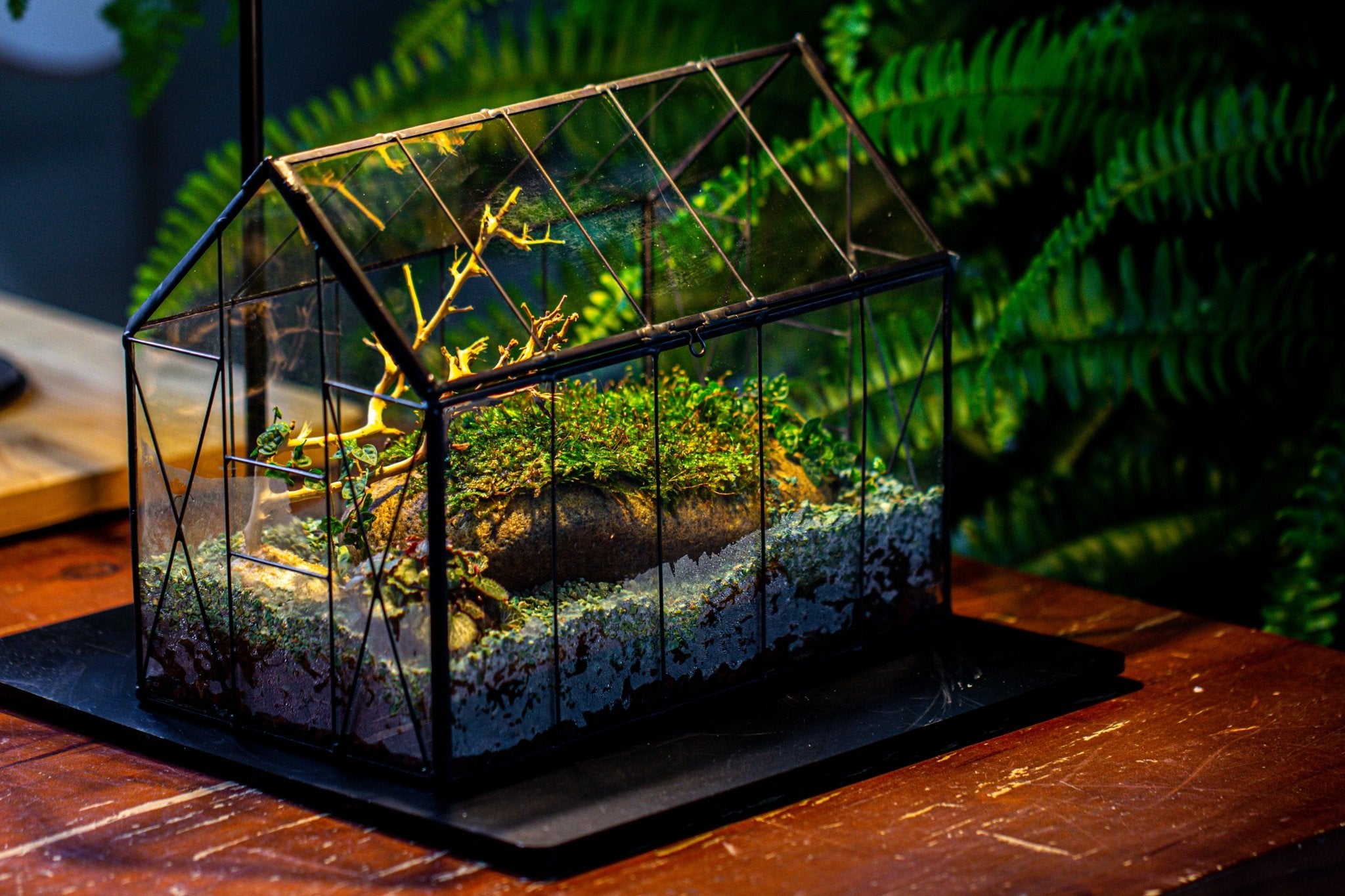 Handmade Vintage Greenhouse Inspired Tin Terrarium with LED Grow Light Set, Closed Glass Planter Set - NCYPgarden
