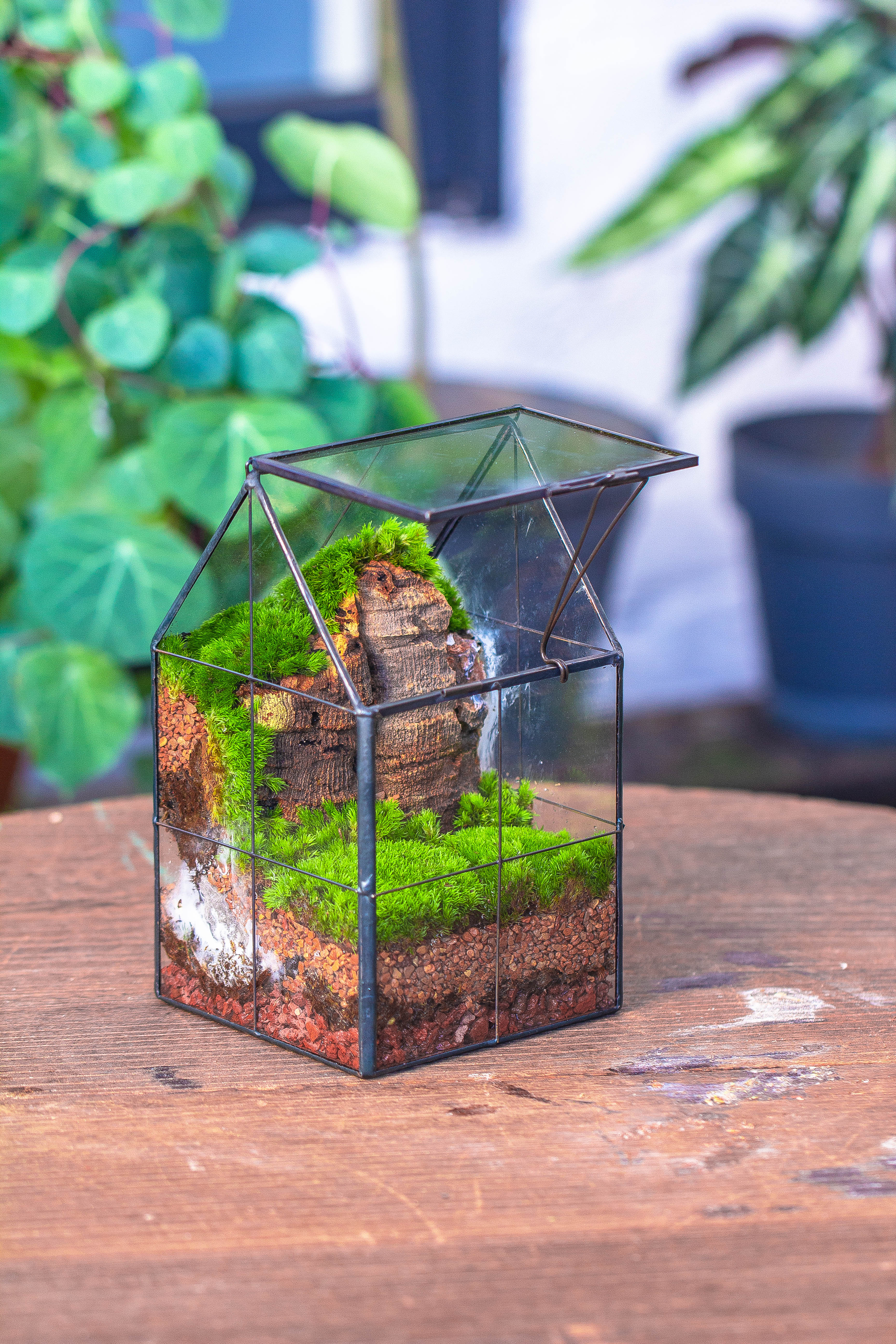Handmade glass and tin close highe mini house shape close geometric terrarium for moss, succulents, Drosera - NCYPgarden