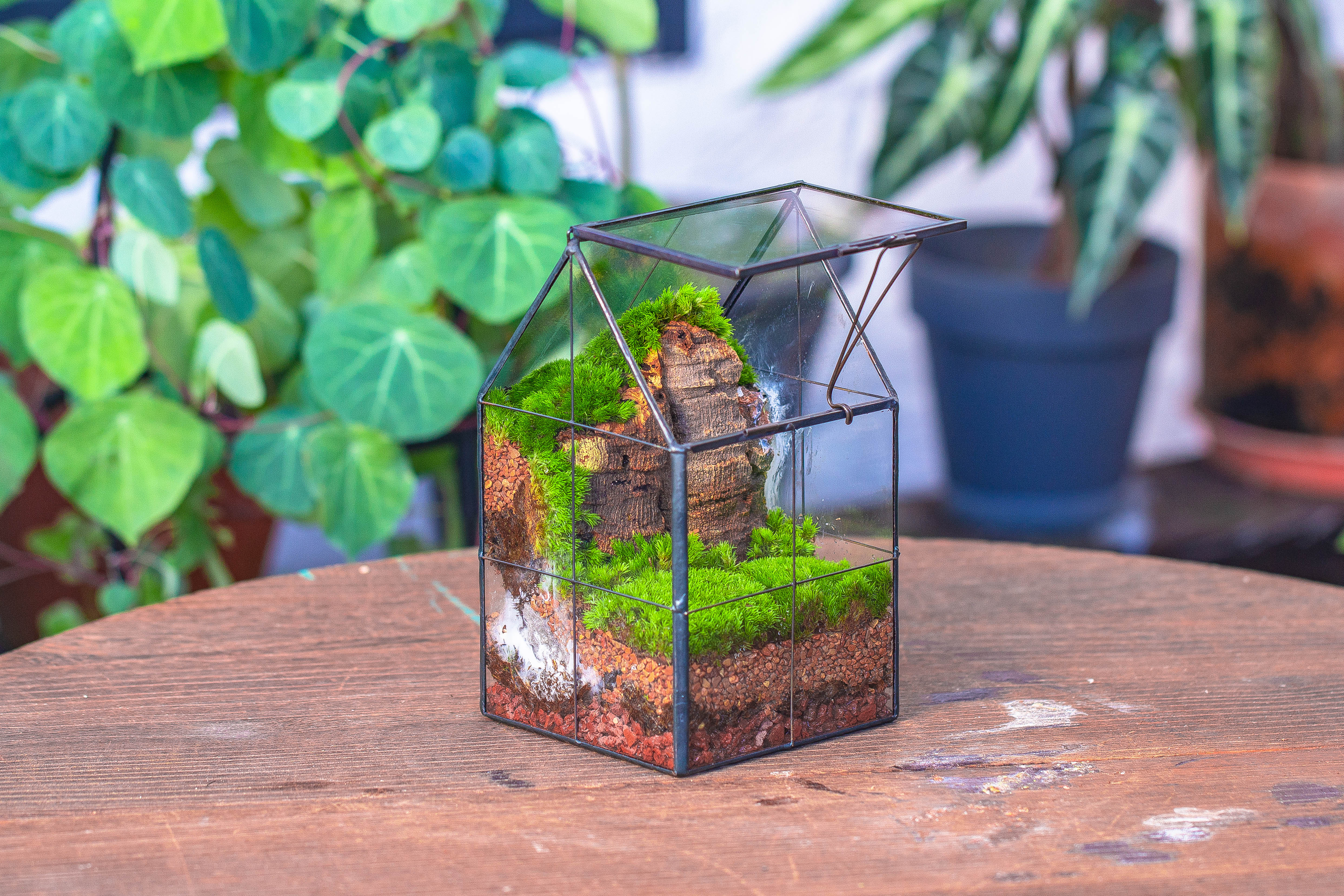 Handmade glass and tin close highe mini house shape close geometric terrarium for moss, succulents, Drosera - NCYPgarden