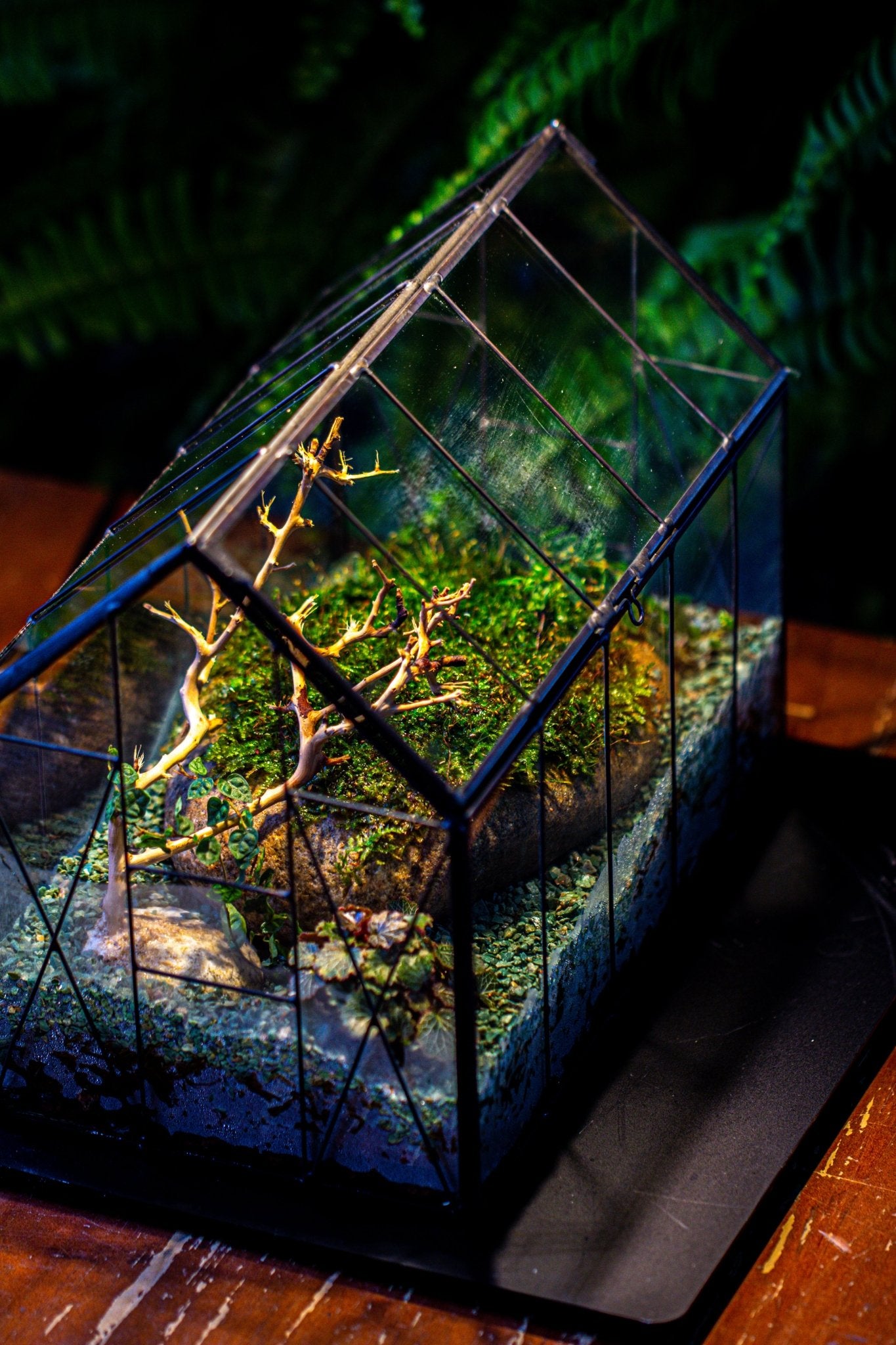 Handmade Vintage Greenhouse Inspired Tin Terrarium with LED Grow Light Set, Closed Glass Planter Set - NCYPgarden