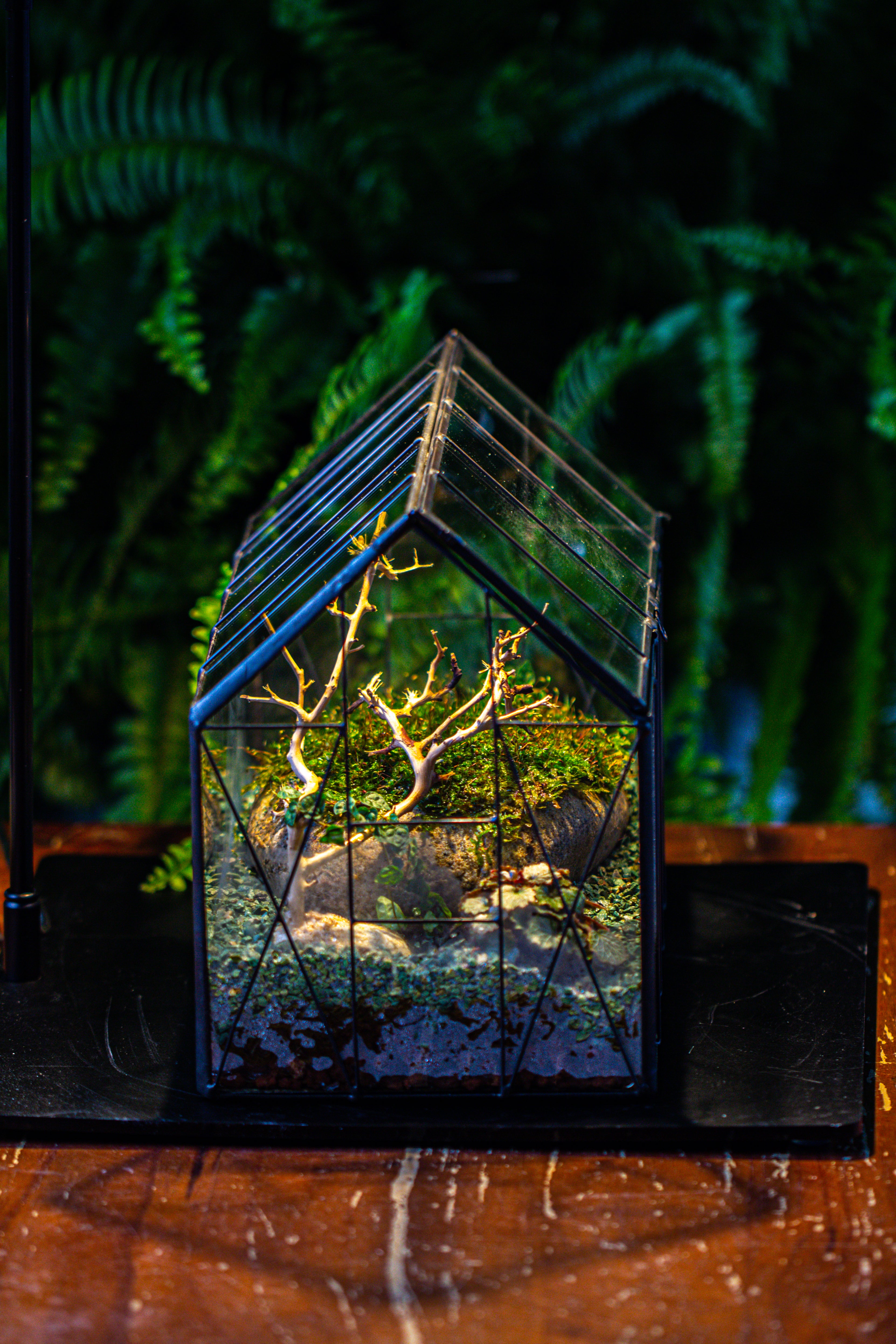 Handmade Vintage Greenhouse Inspired Tin Terrarium with LED Grow Light Set, Closed Glass Planter Set - NCYPgarden