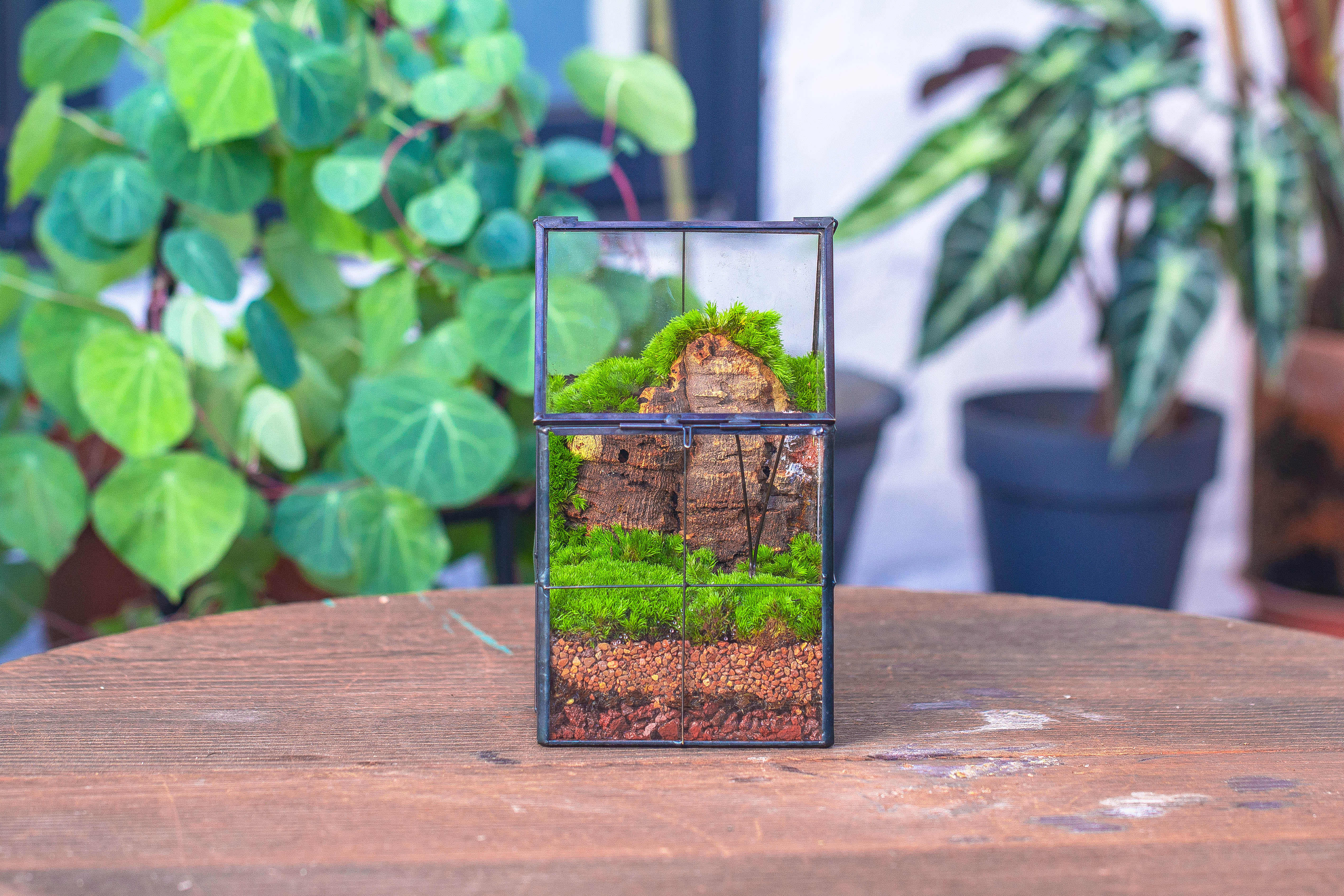 Handmade glass and tin close highe mini house shape close geometric terrarium for moss, succulents, Drosera - NCYPgarden