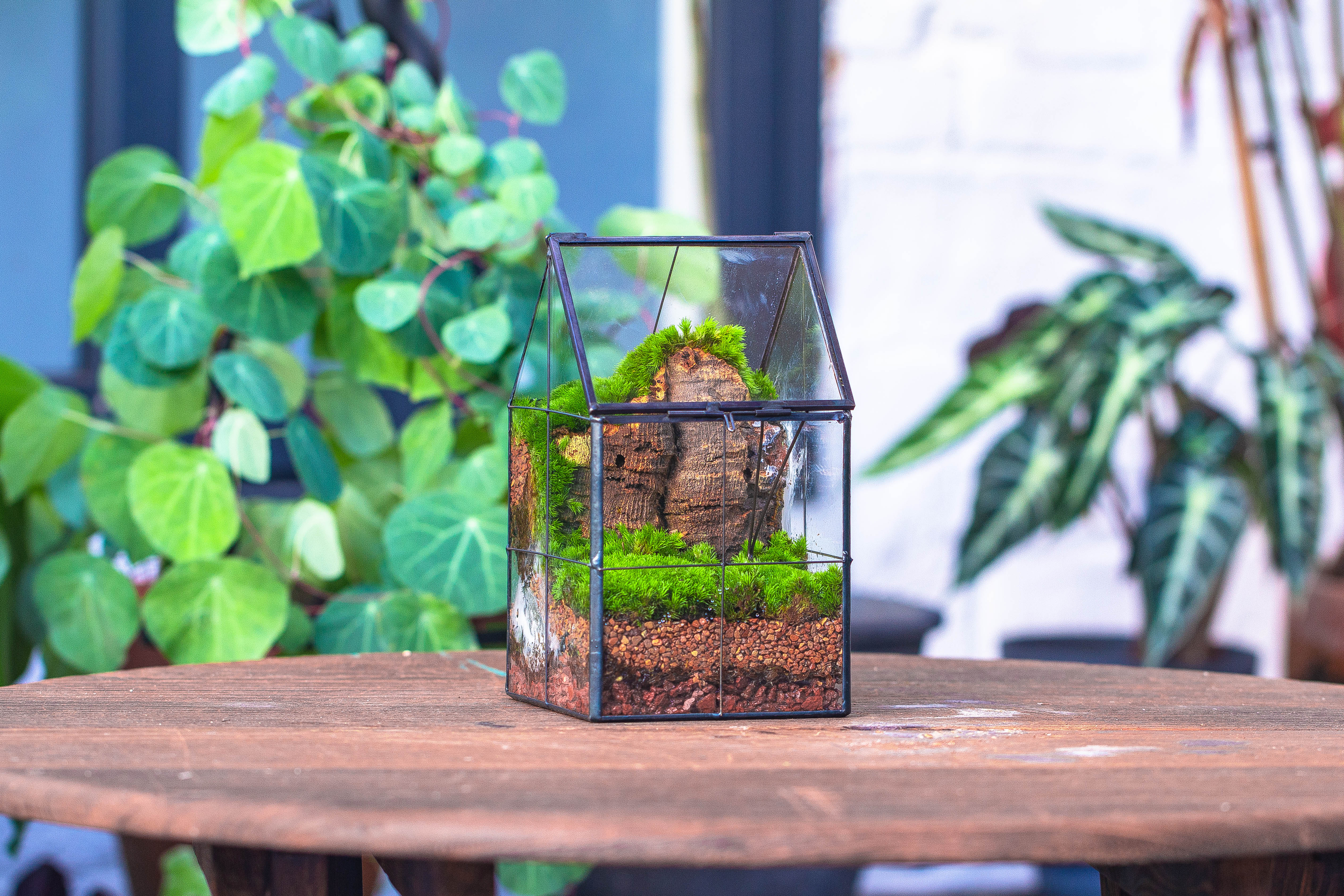 Handmade glass and tin close highe mini house shape close geometric terrarium for moss, succulents, Drosera - NCYPgarden