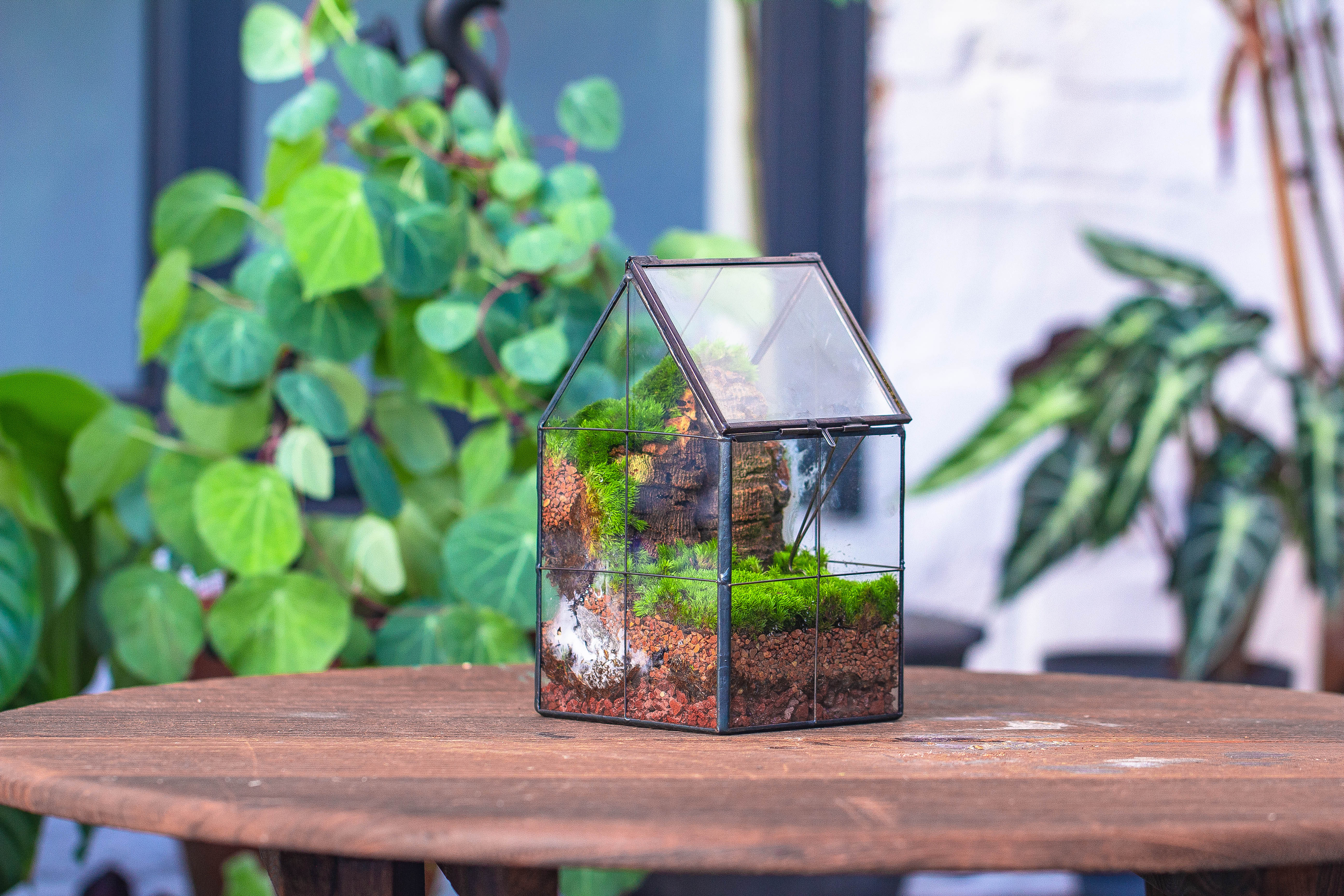 Handmade glass and tin close highe mini house shape close geometric terrarium for moss, succulents, Drosera - NCYPgarden