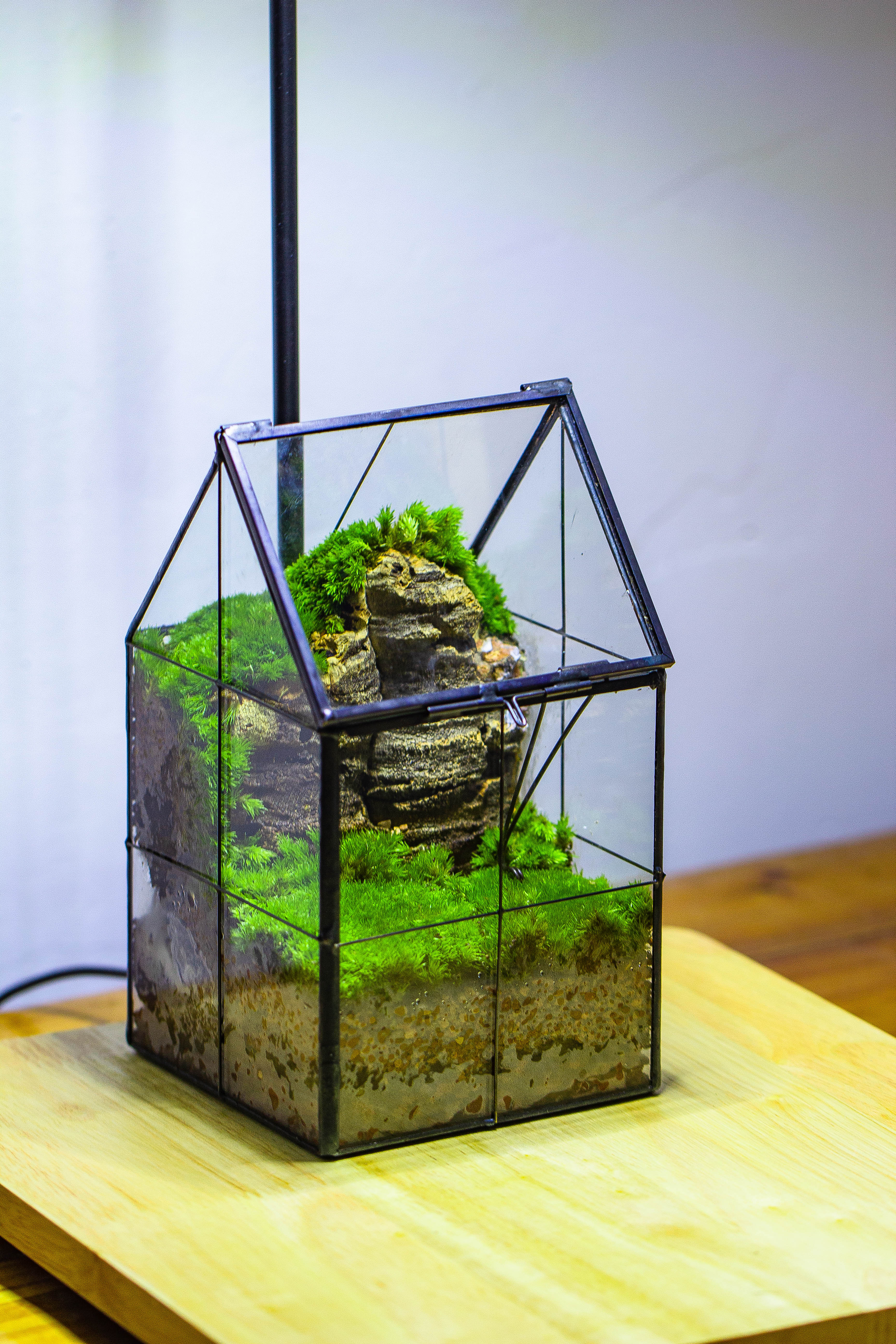 Handmade glass and tin close highe mini house shape close geometric terrarium for moss, succulents, Drosera - NCYPgarden