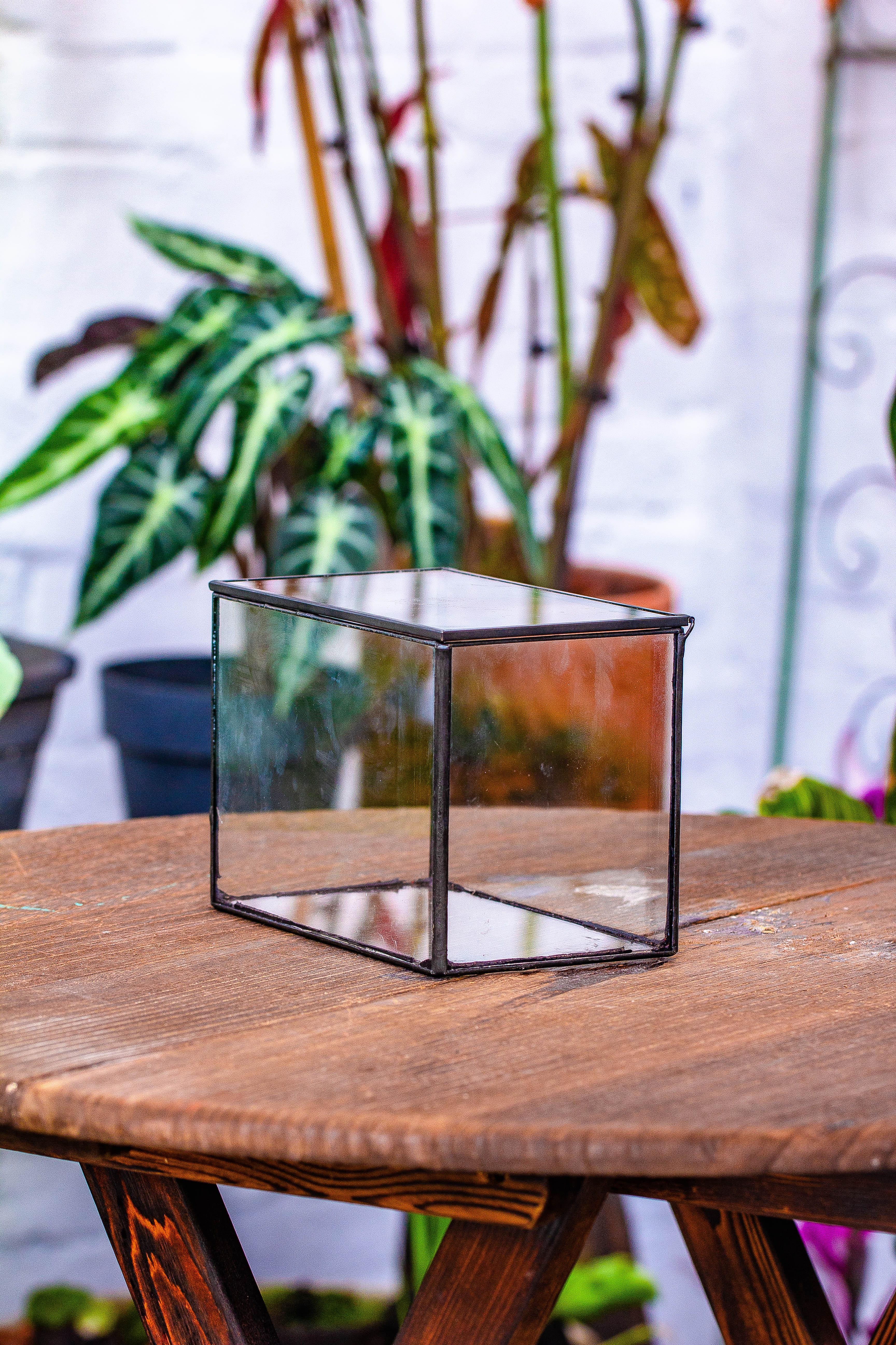 NCYP Watertight Close Small Rectangle Geometric Glass Tin Terrarium, for small waterpond, moss landscape, Live Miniature, water pond - NCYPgarden