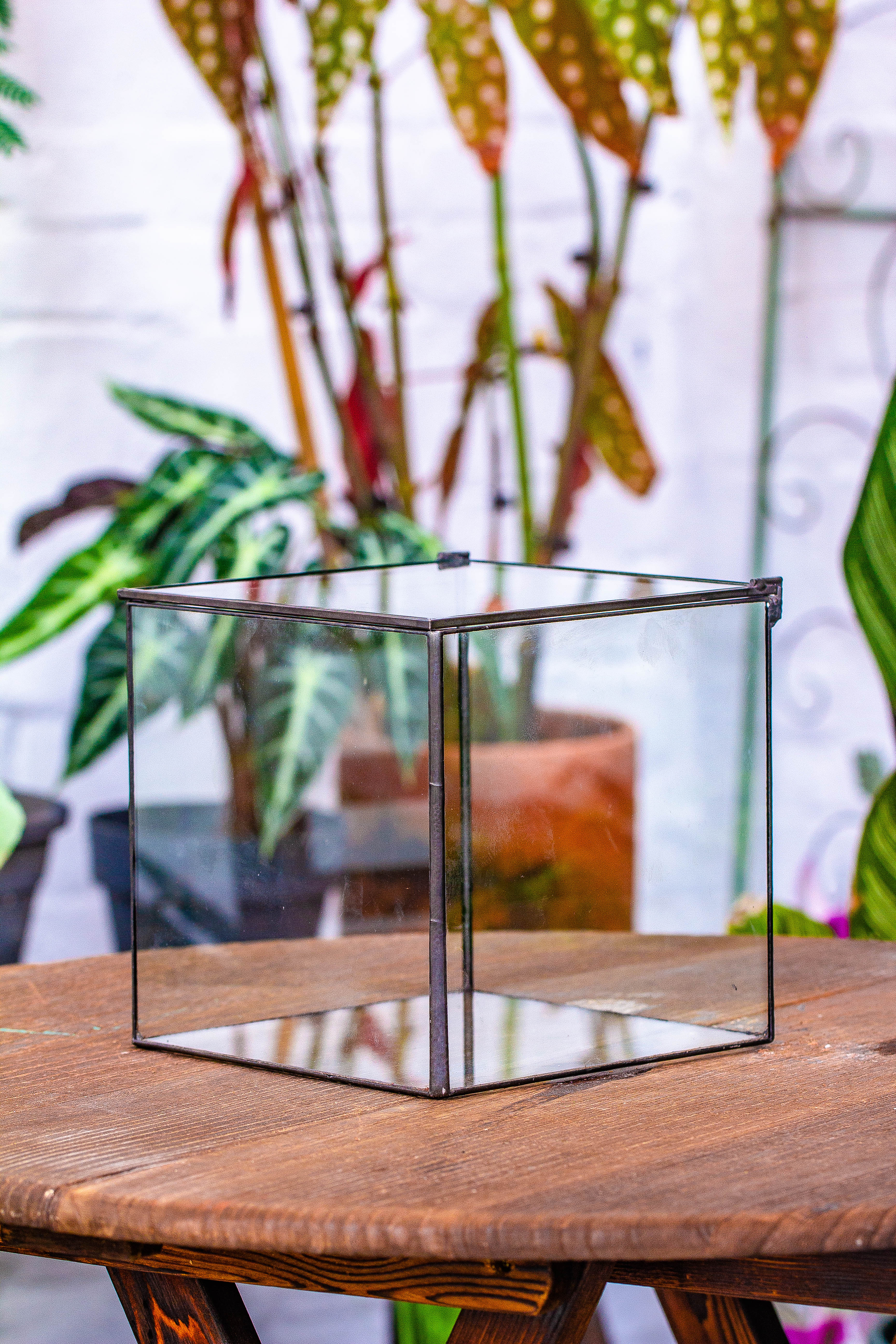 NCYP Watertight Close Cube 7" Geometric Glass Tin Terrarium, for small waterpond, moss landscape, Live Miniature, water pond, landscape - NCYPgarden