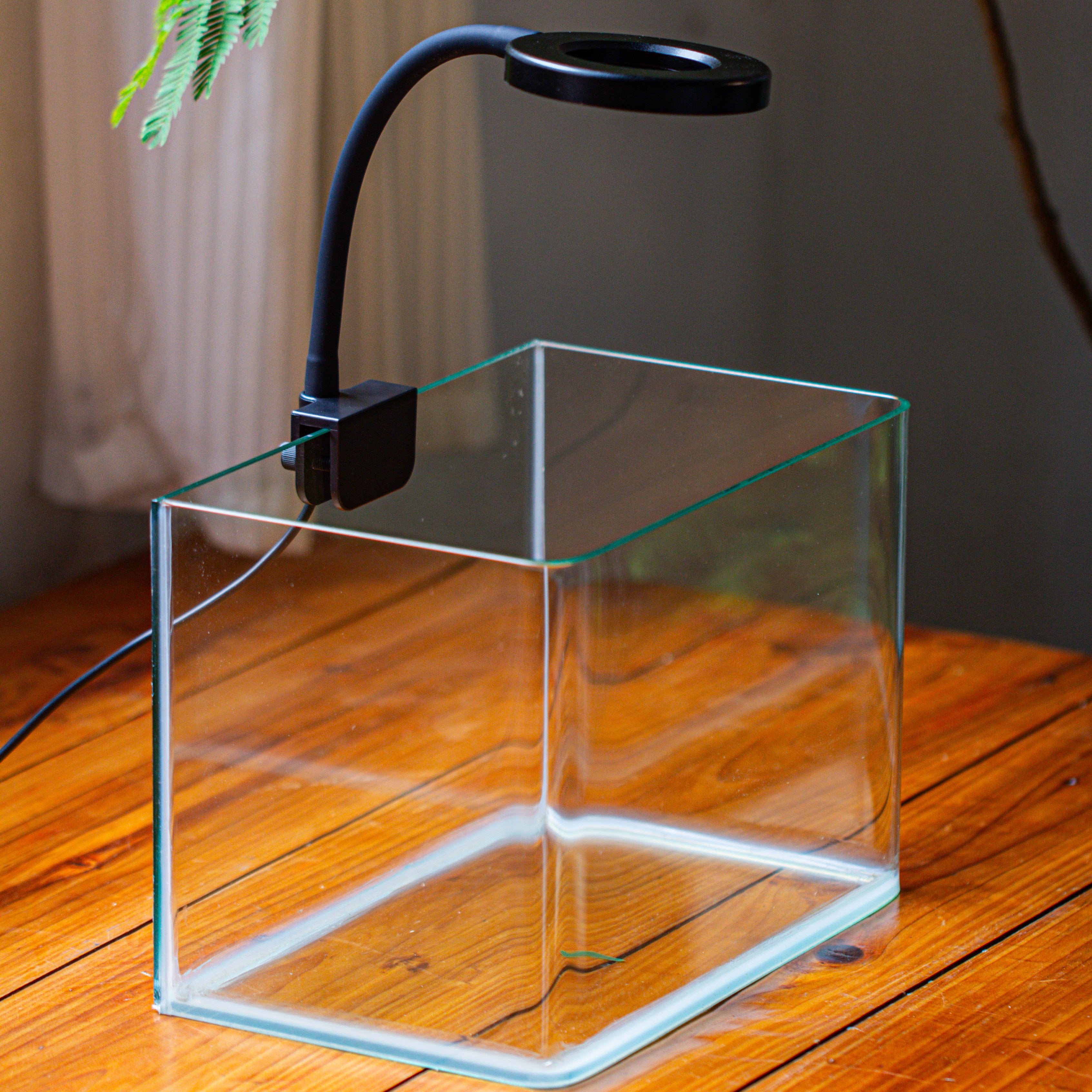 Open Moss Terrarium Building DIY Set with LED for Carnivorous Plants: pitcher - NCYPgarden